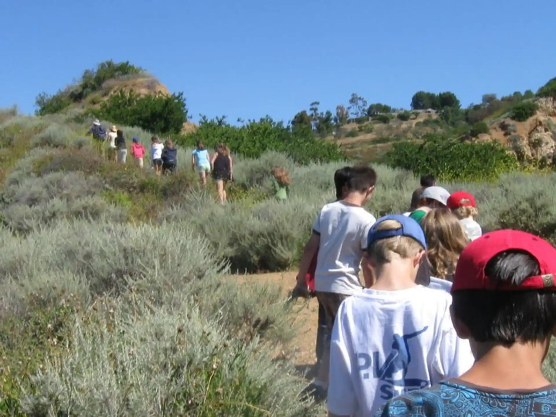 a group of people walking on a trail