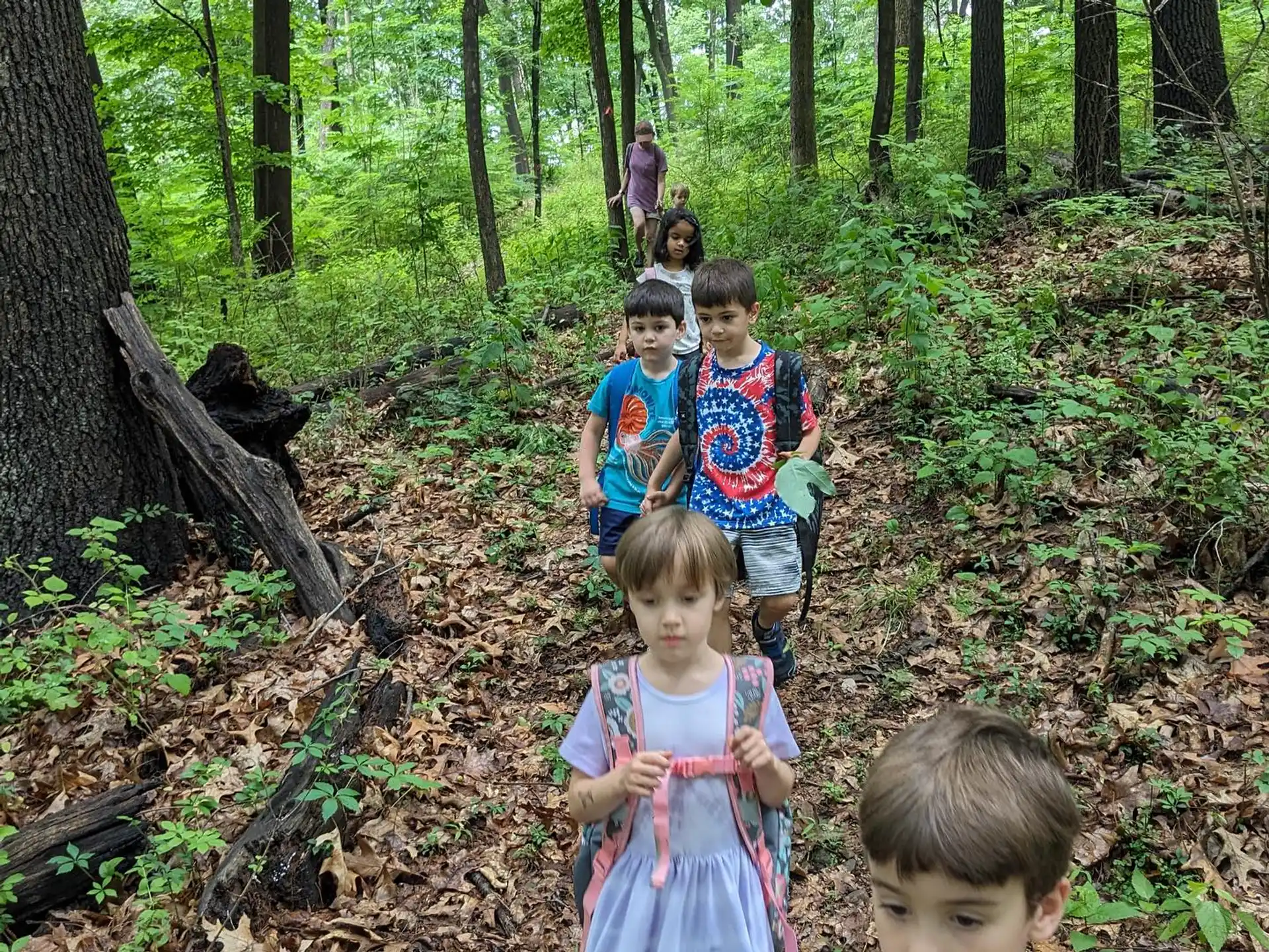 a group of children in the woods