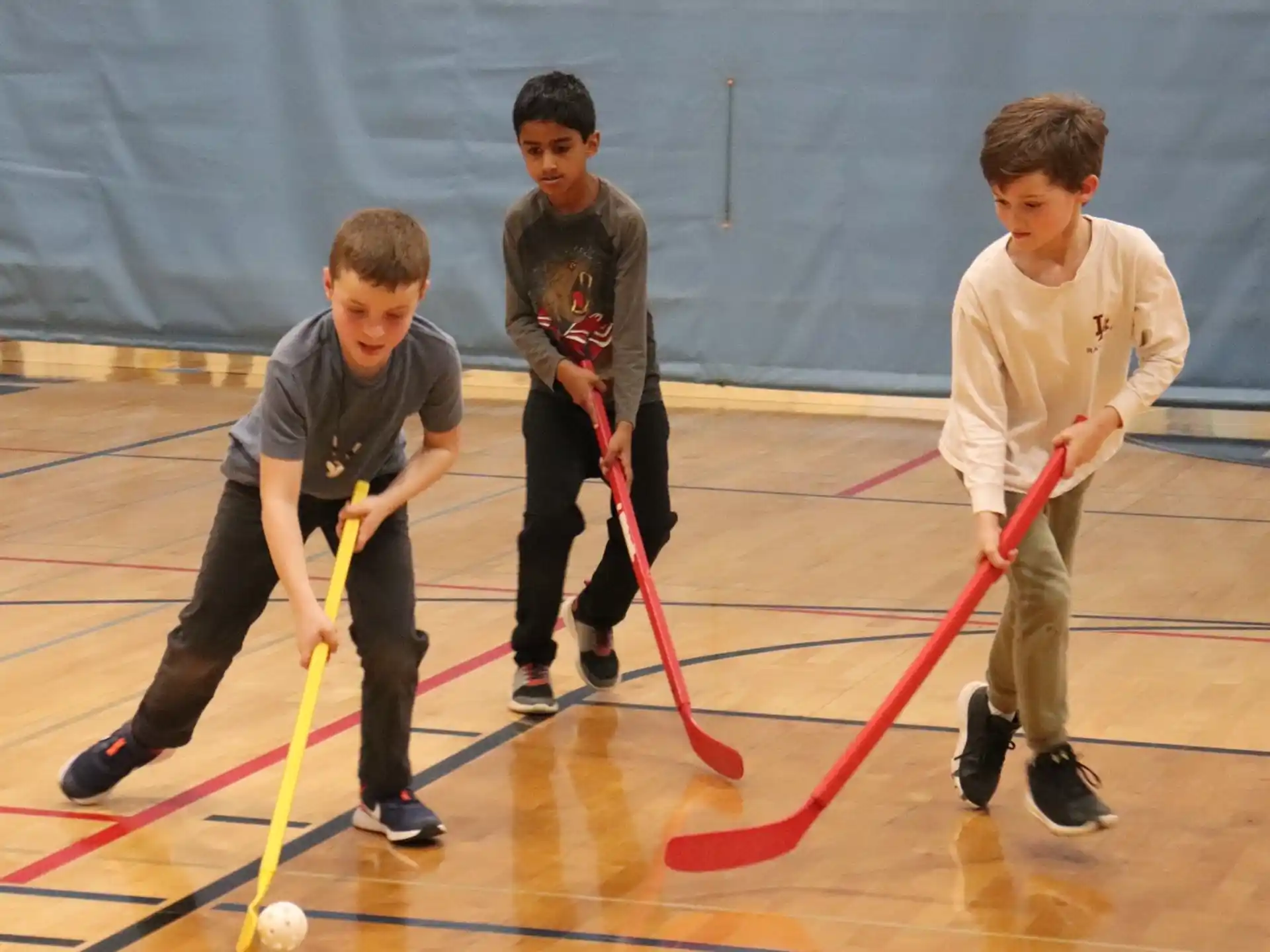 a group of boys playing hockey