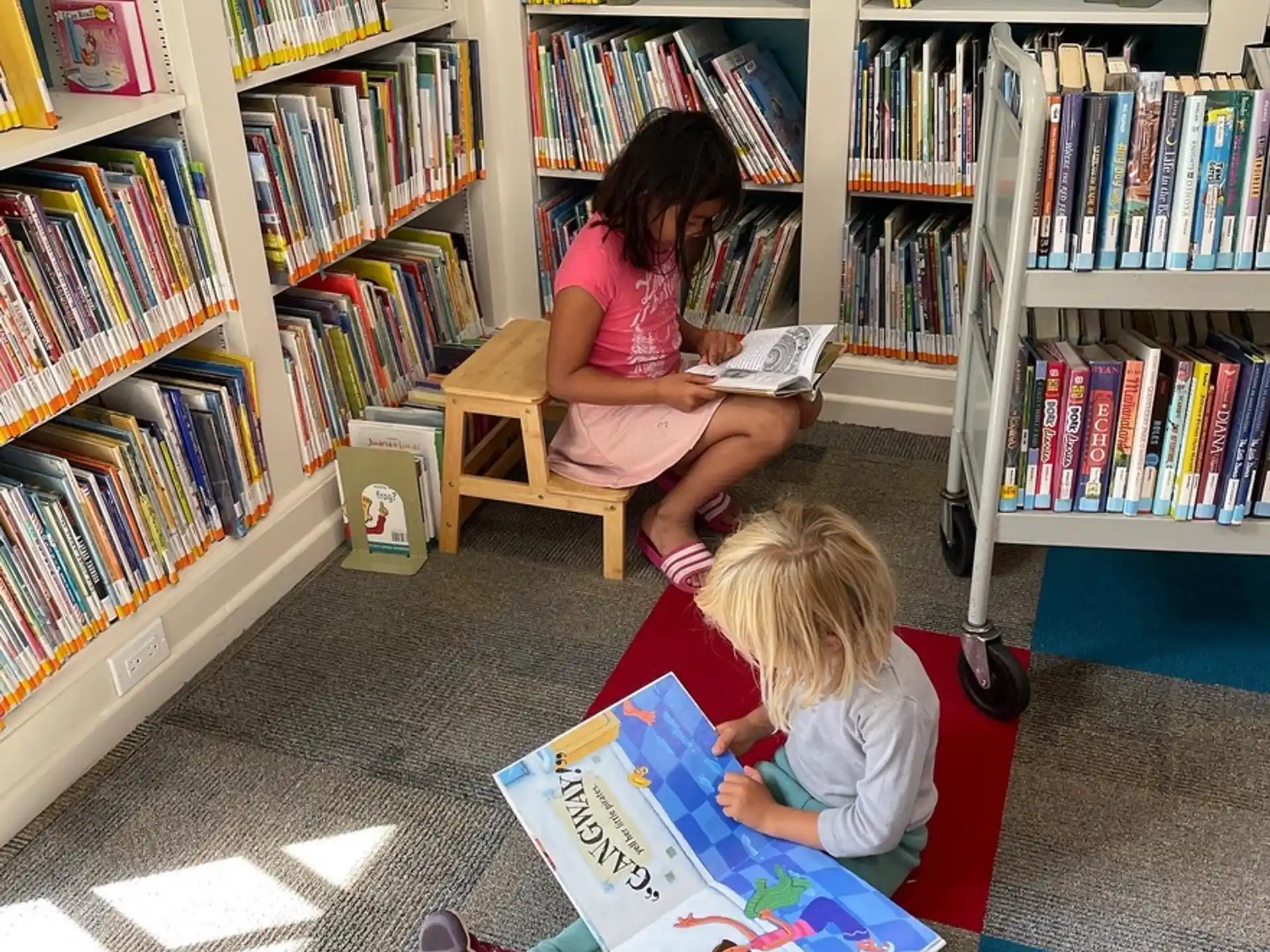 a person reading a book to a young girl in a library