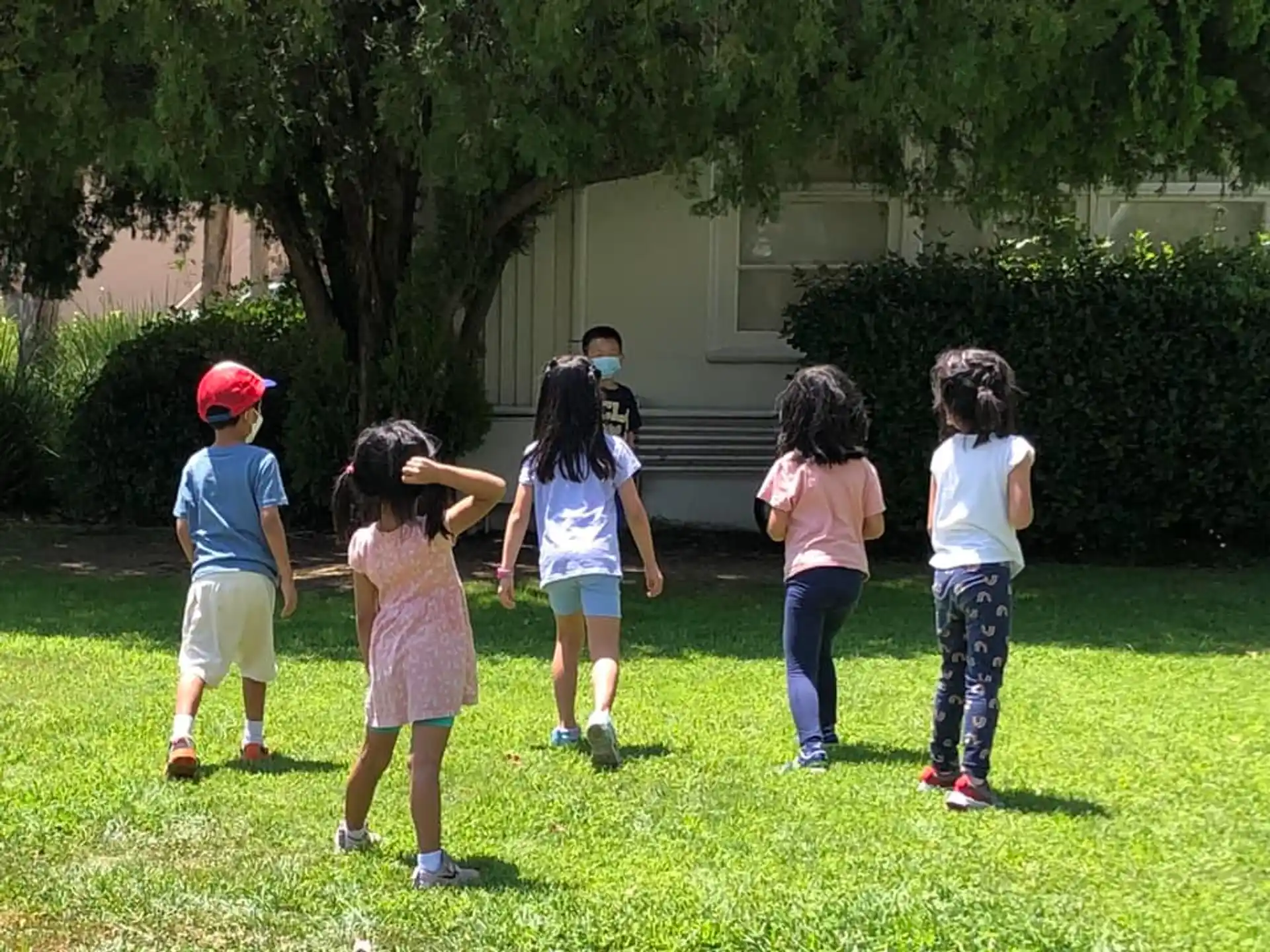 a group of children playing in the grass