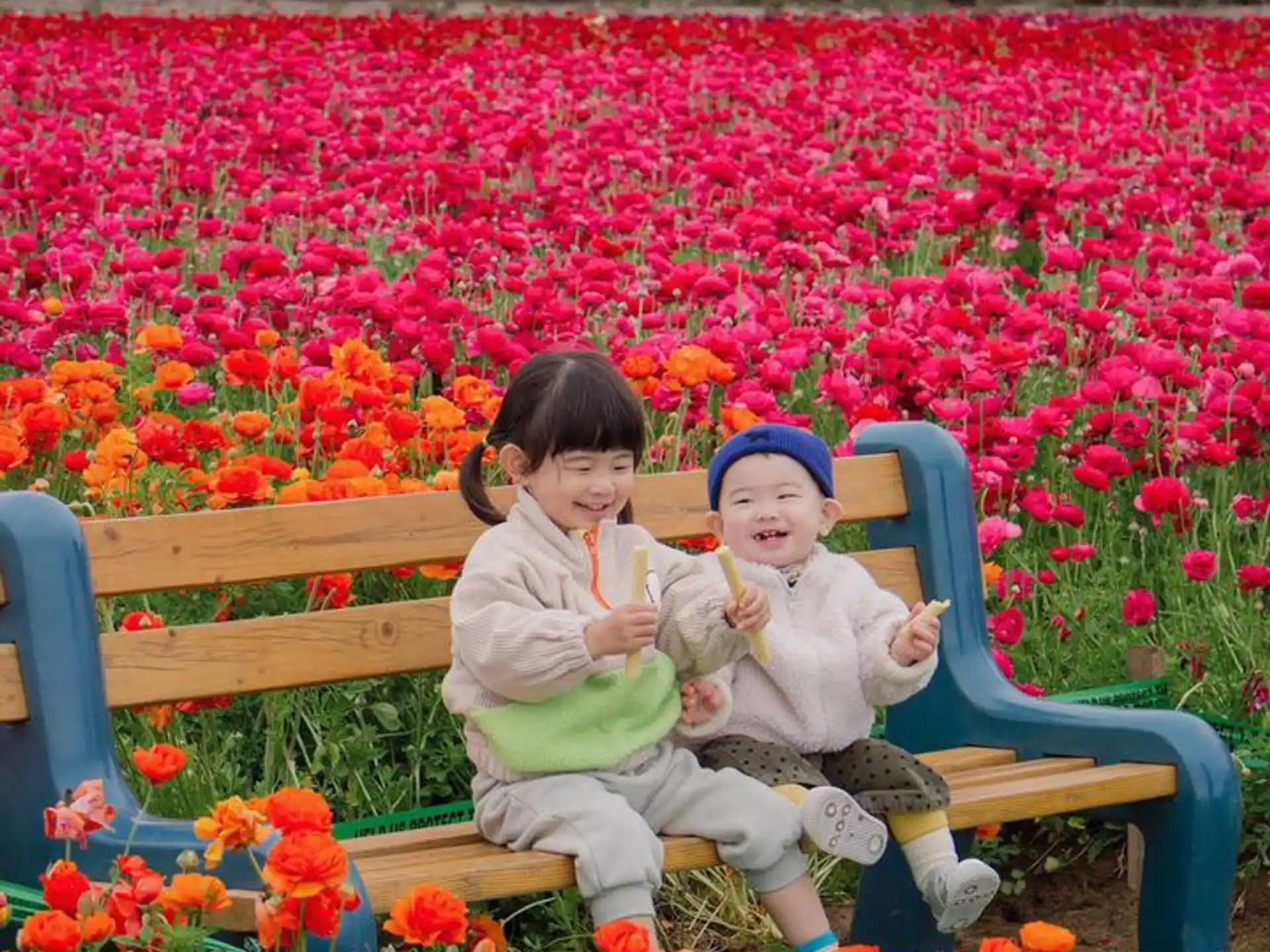 a person and a baby sitting on a bench in a field of tulips