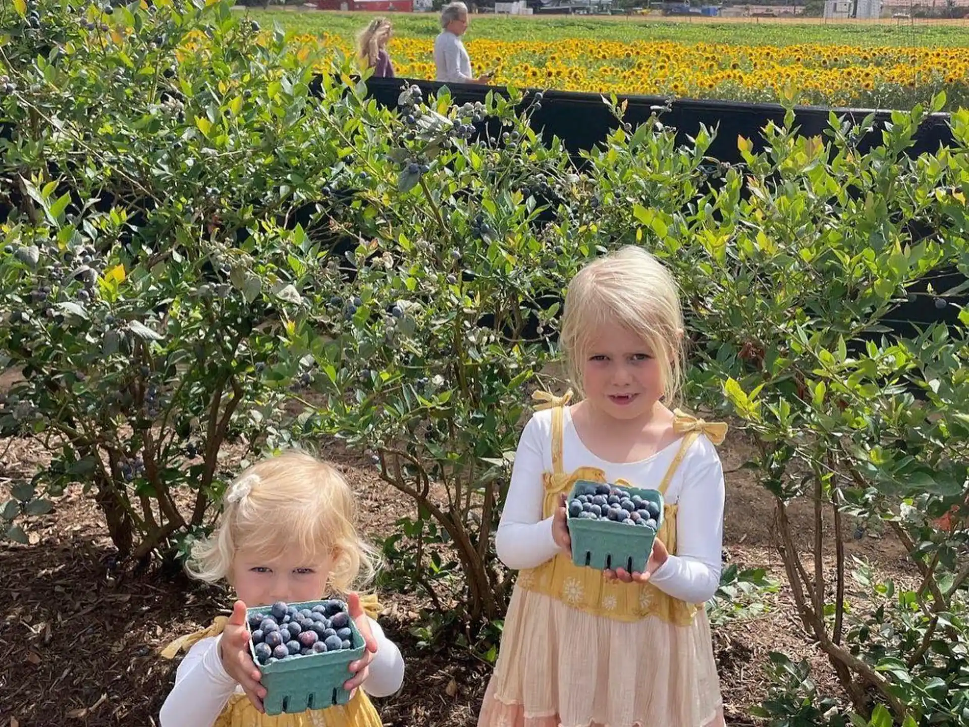 two children standing in a field of flowers