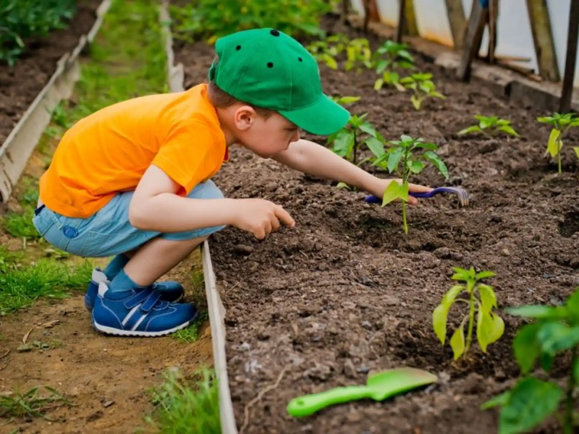 a child digging in the dirt