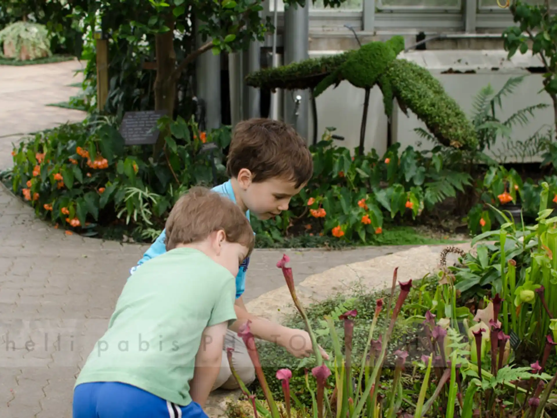 a couple of boys looking at flowers