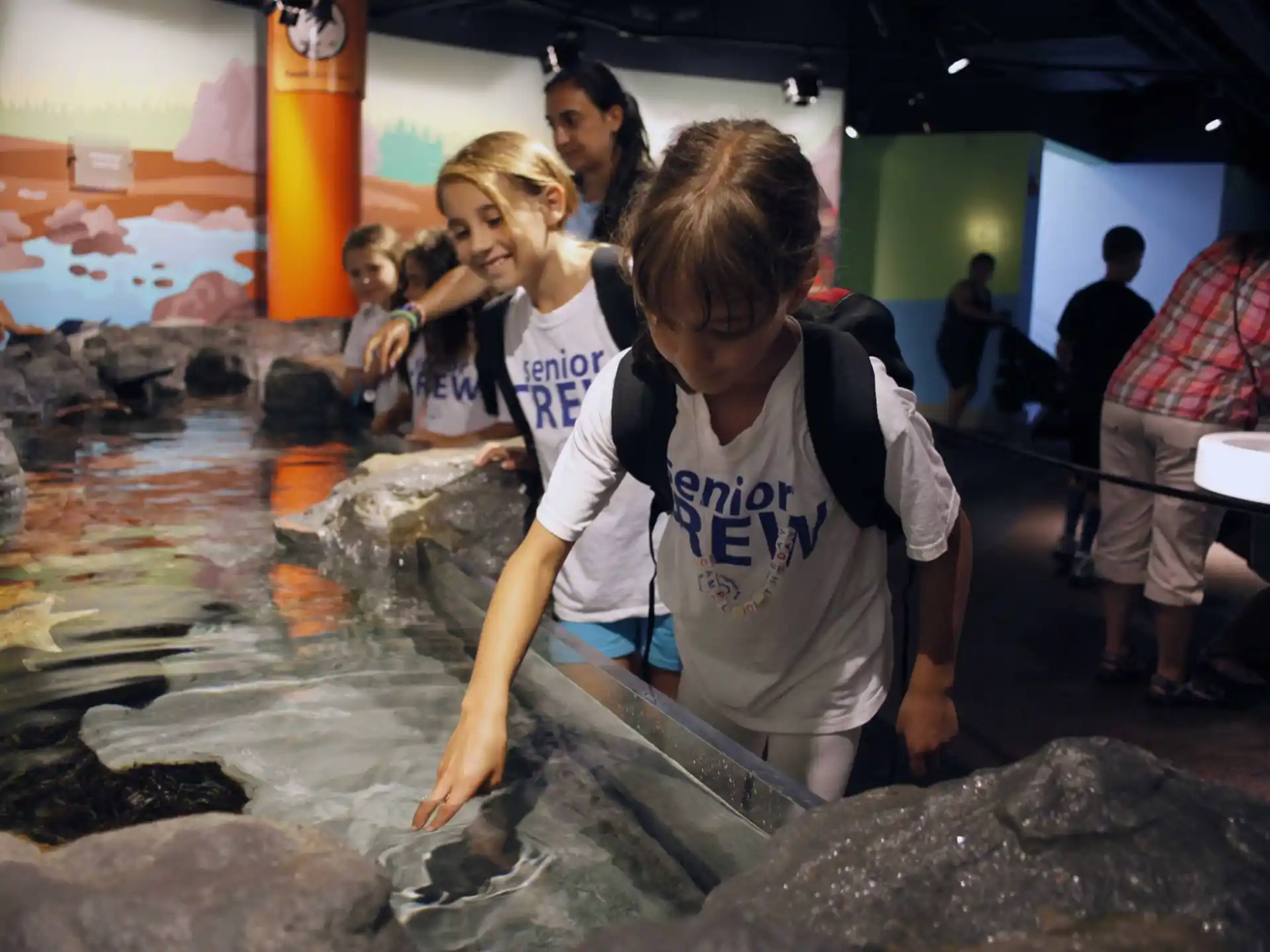 a group of people looking at fish in a tank