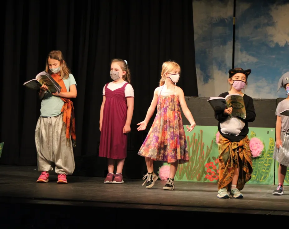 https://cdn-new.gis.beakid.com/photos/24593/a-group-of-children-on-a-stage--thumbnail-big.webp