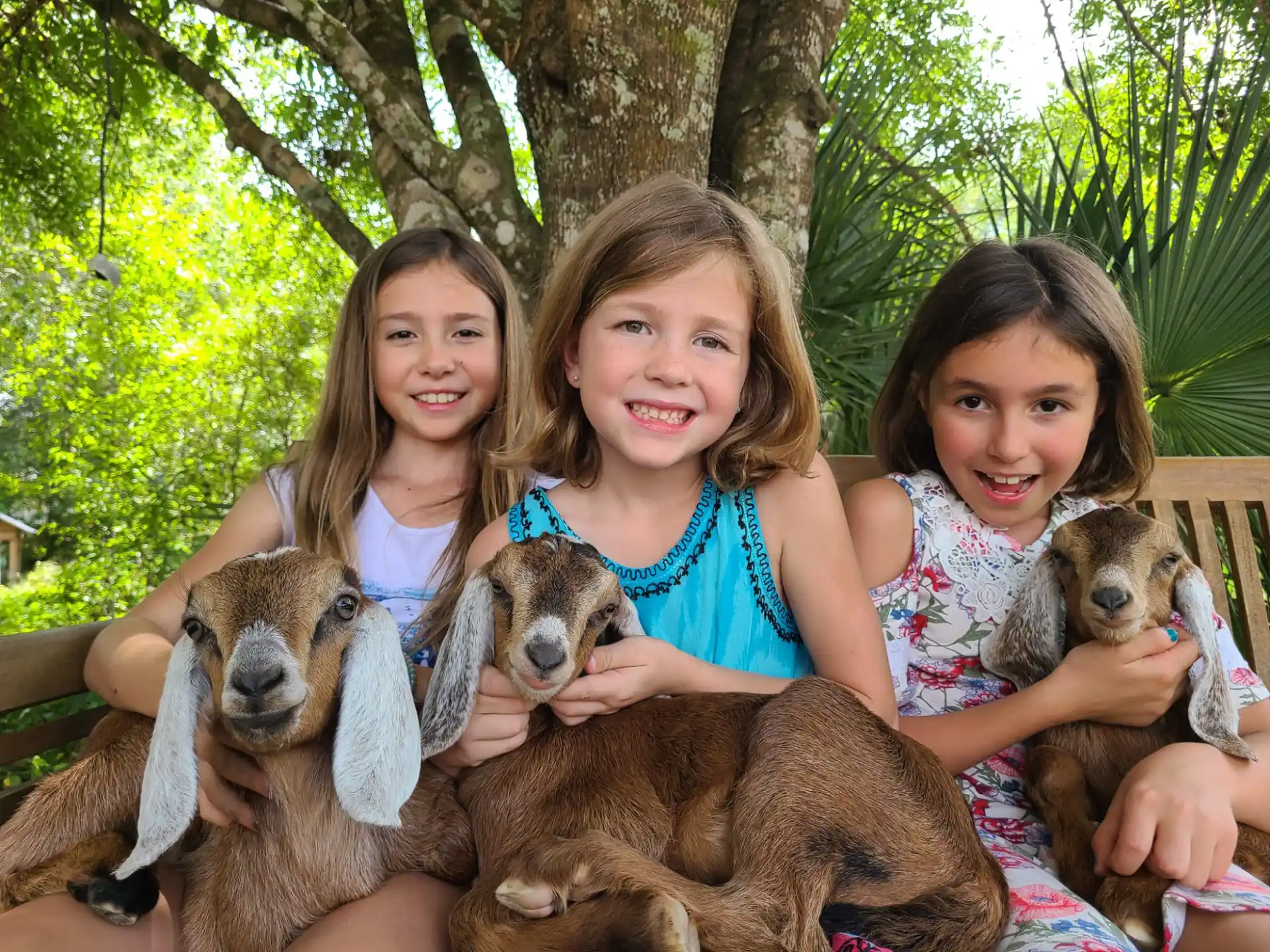 a group of girls holding dogs