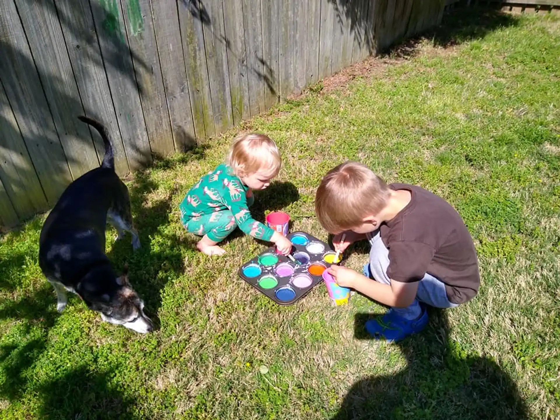 a person and a baby playing with a dog in the grass