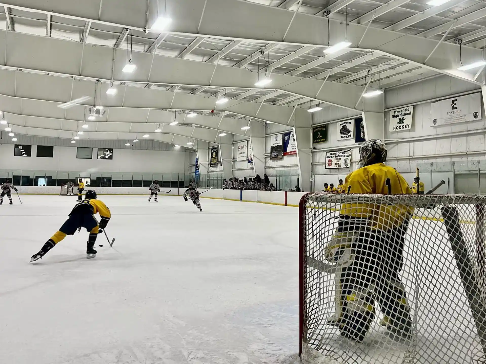 people playing hockey in an ice rink