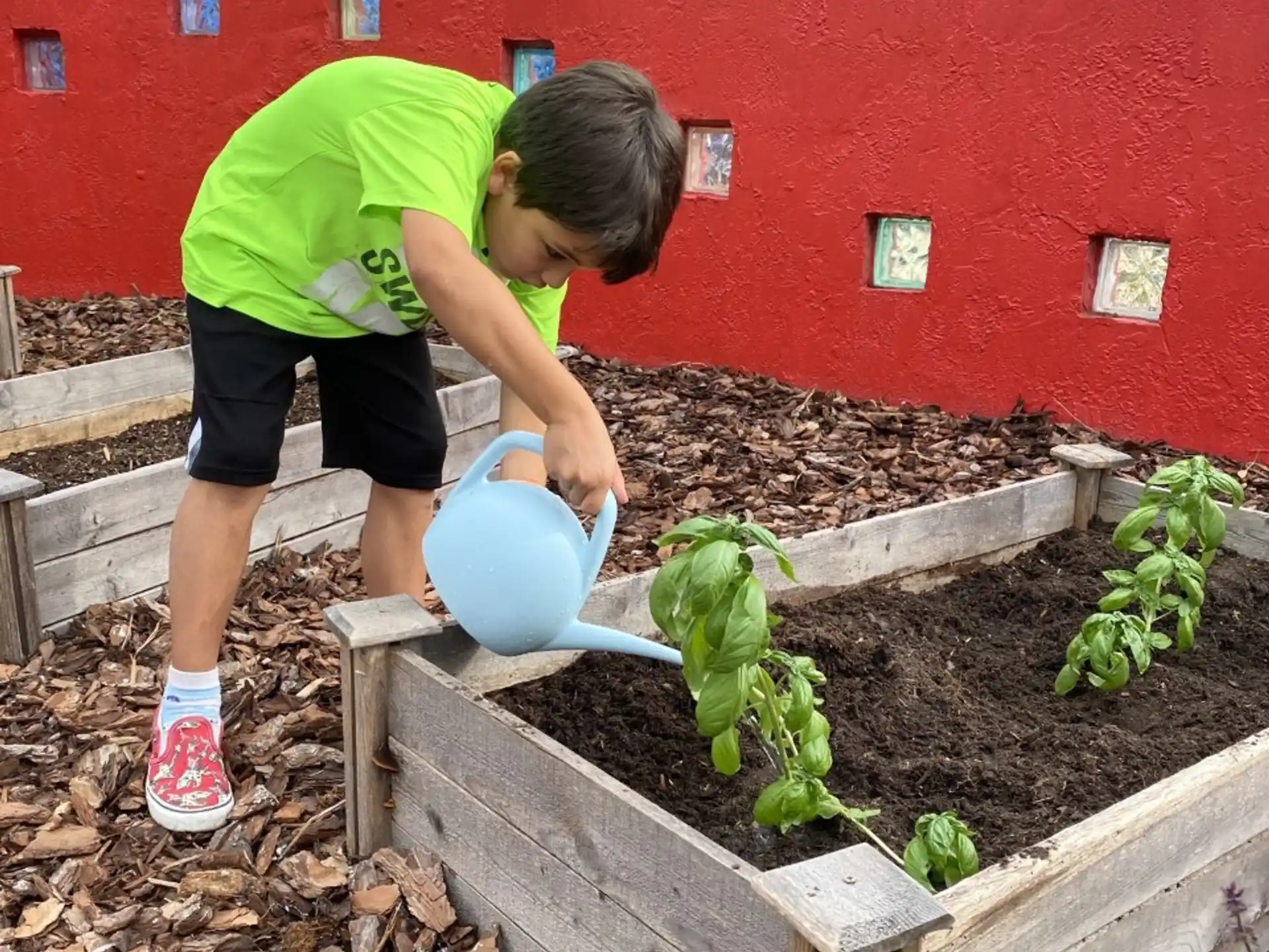 a child watering plants in a garden