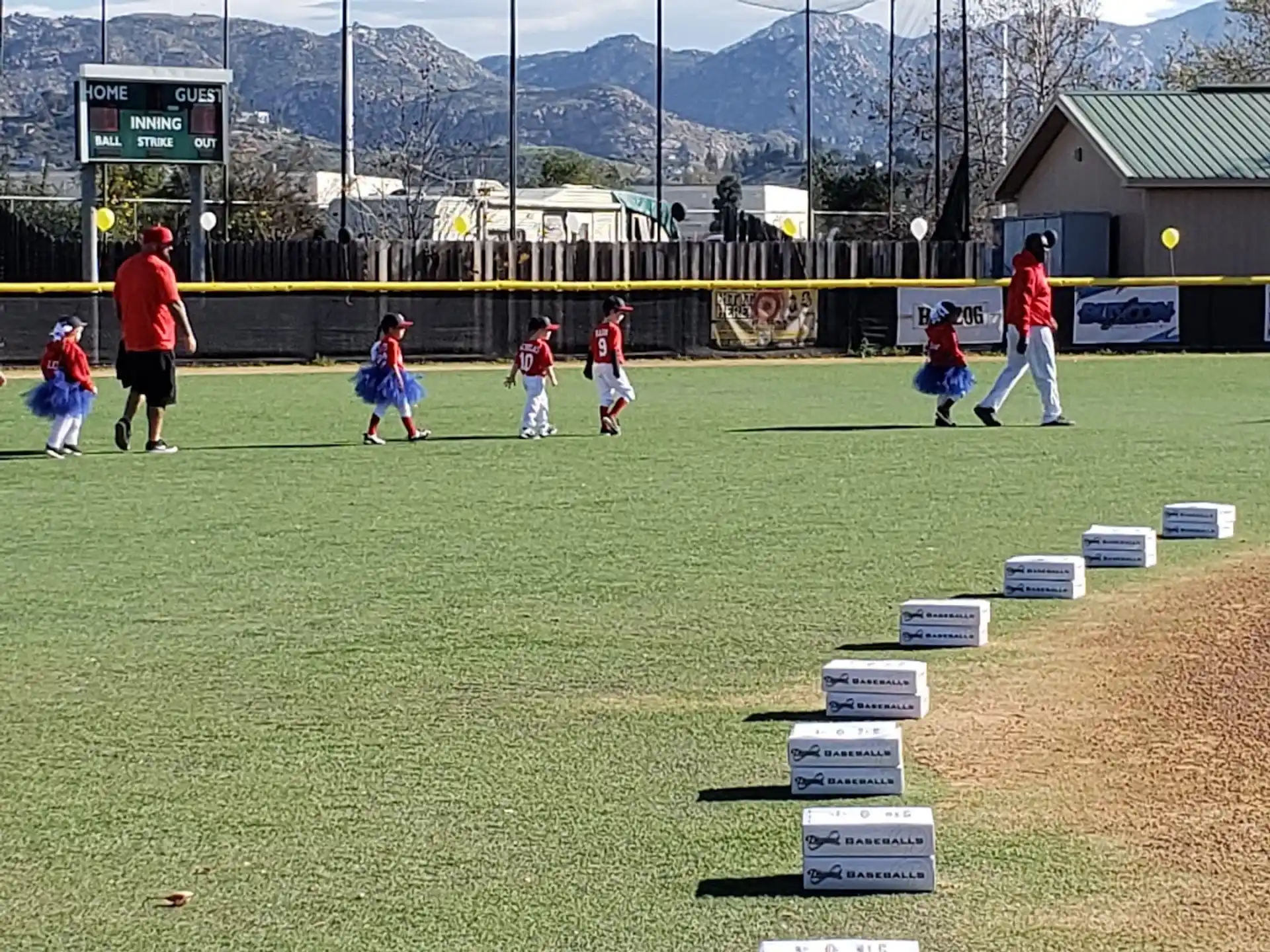 a group of people playing cricket