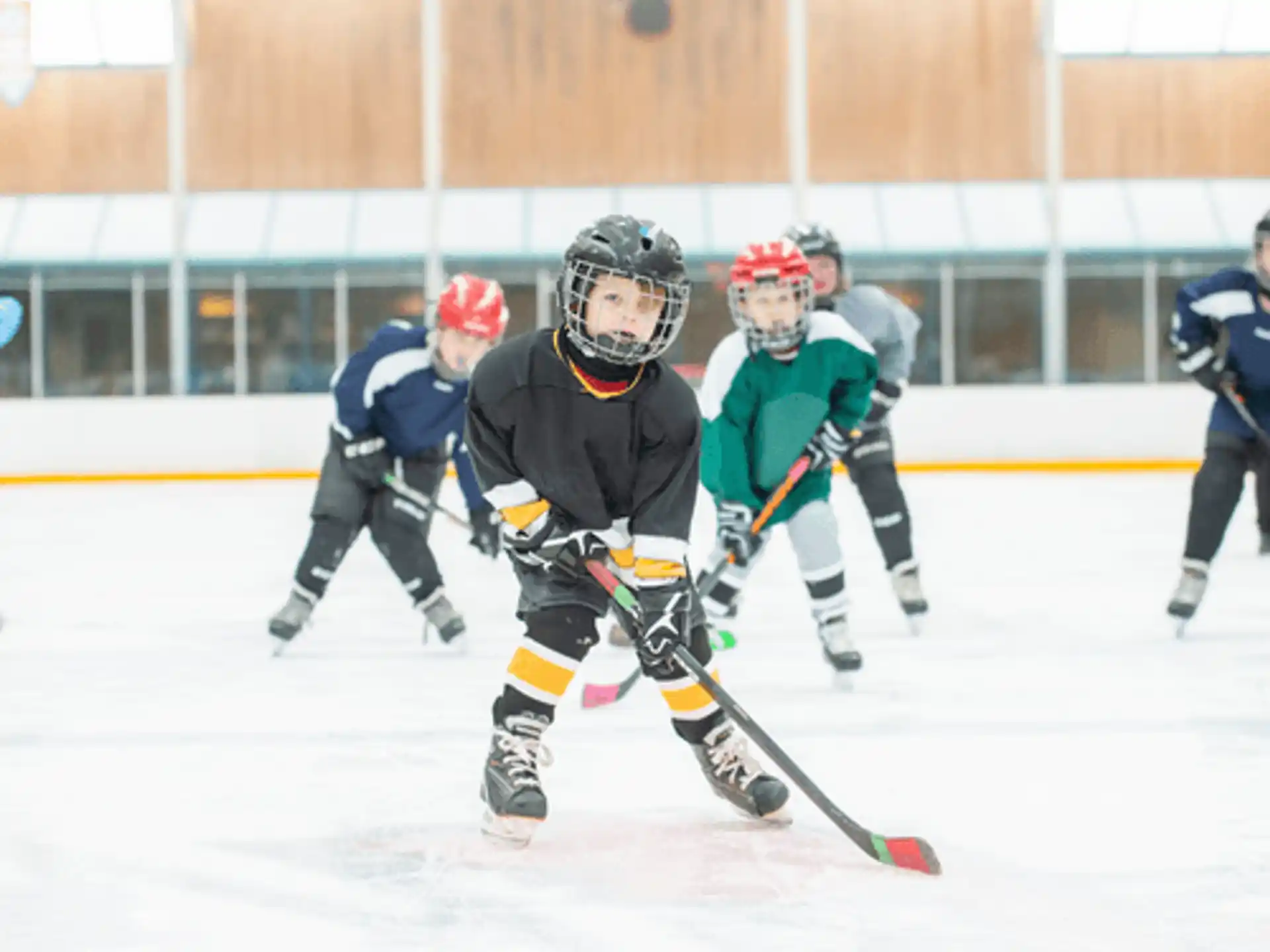 The Patriot Ice Center — 32c7a6b5 7265 4f1c 8224 be9b7f383389