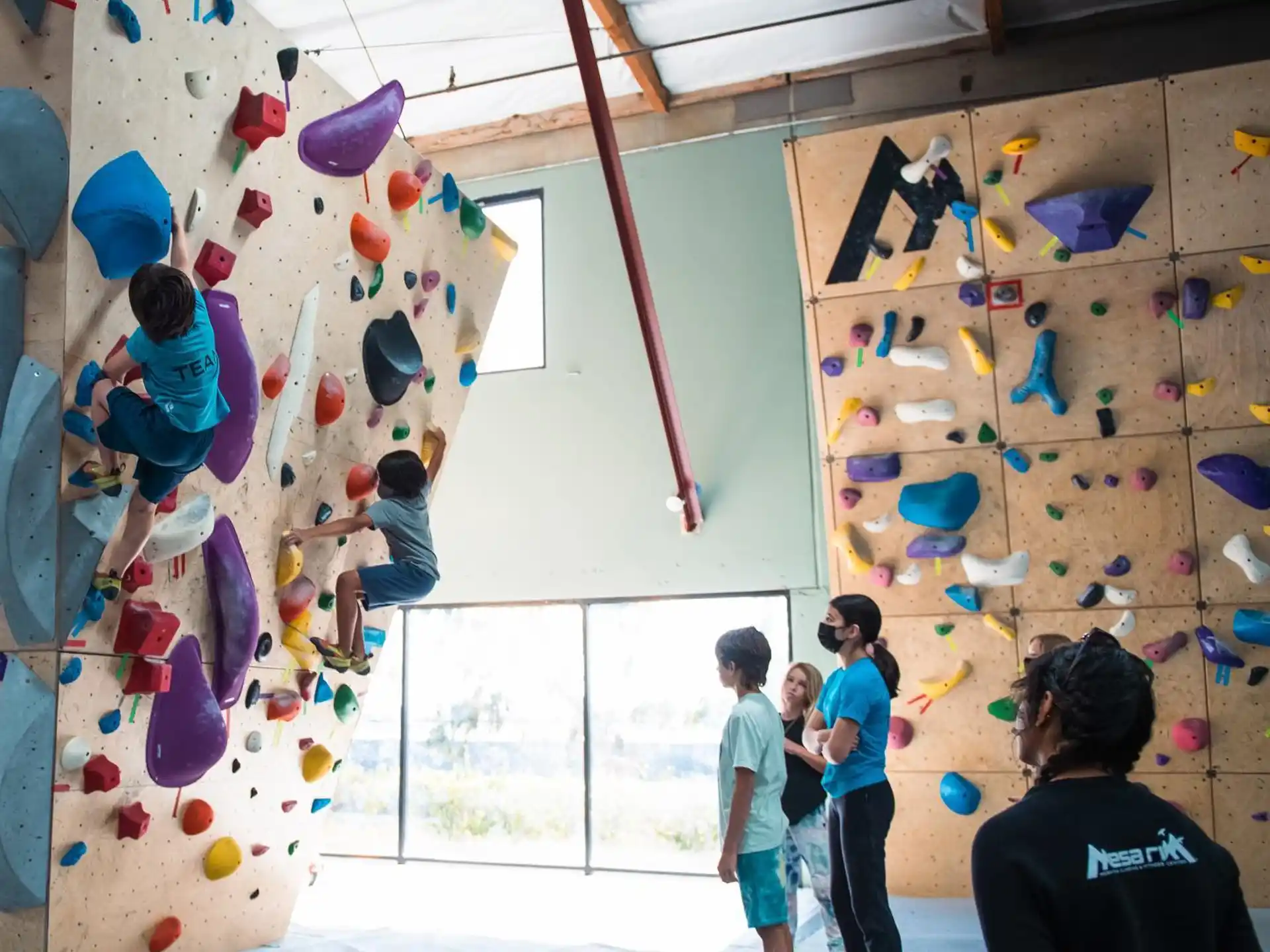 a group of kids climbing a wall