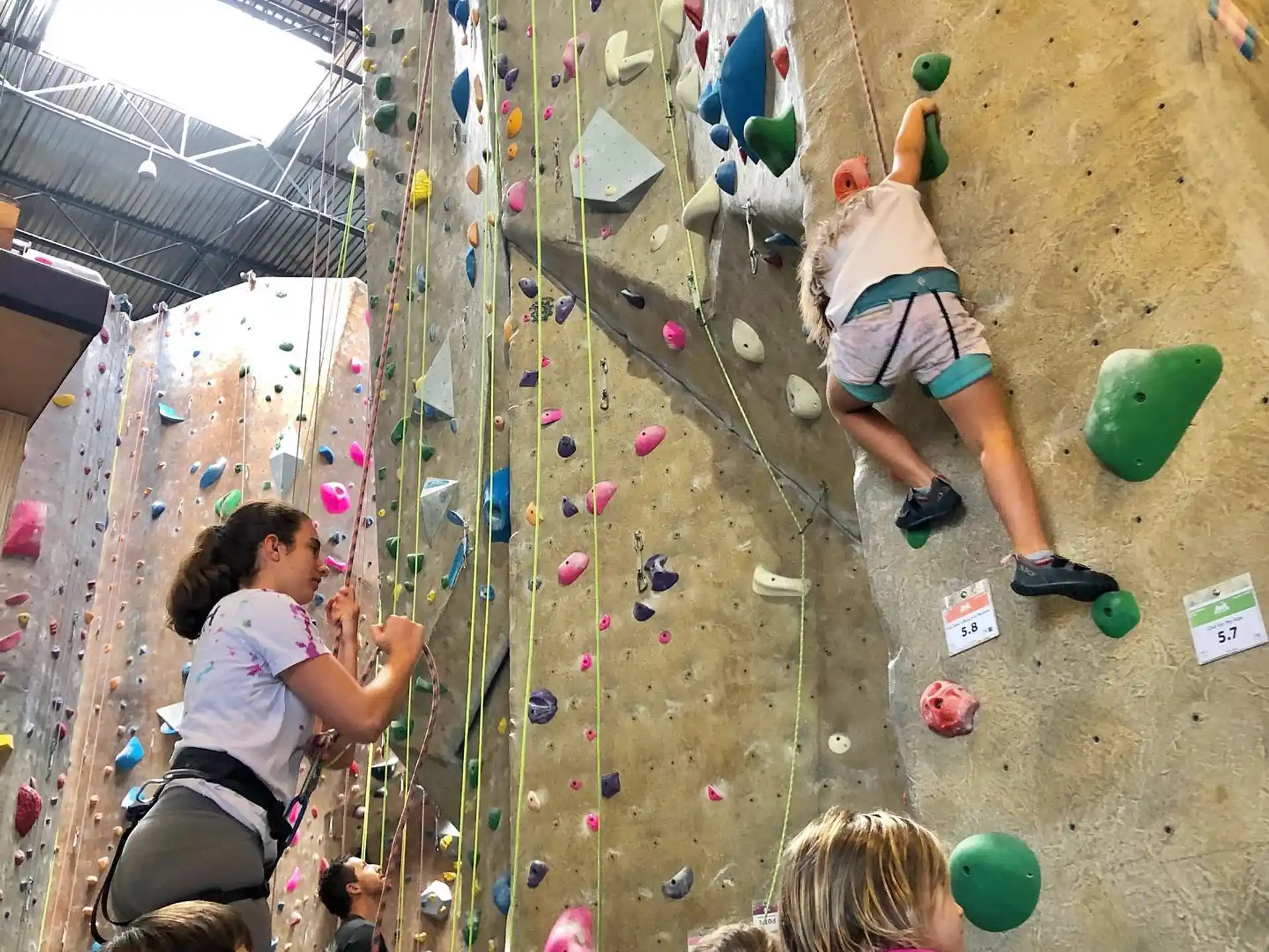 a group of people climbing a rock wall