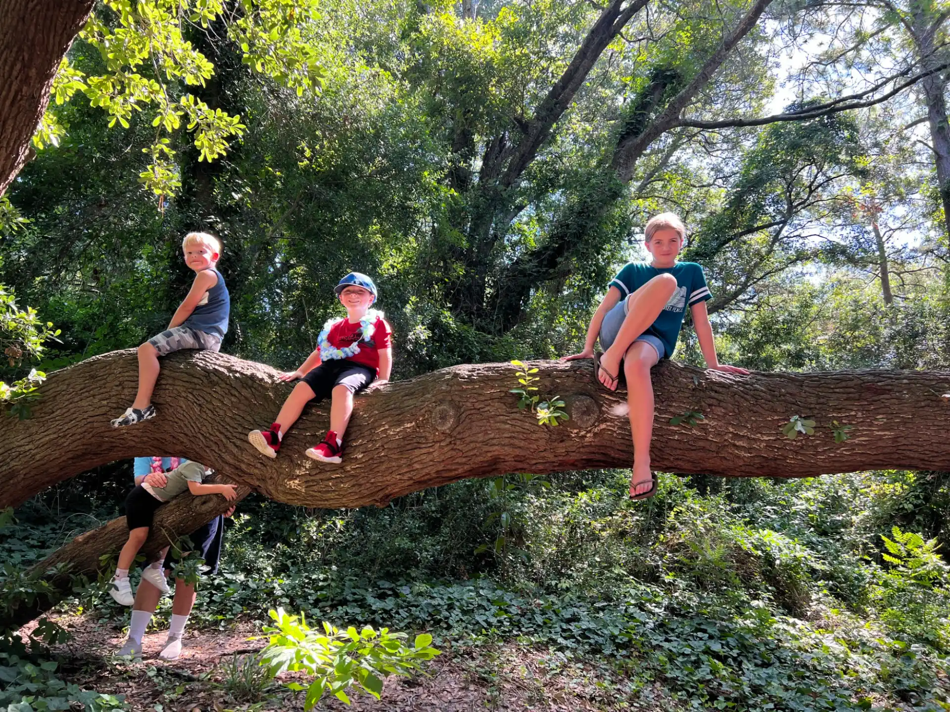 a group of kids sitting on a log in the woods