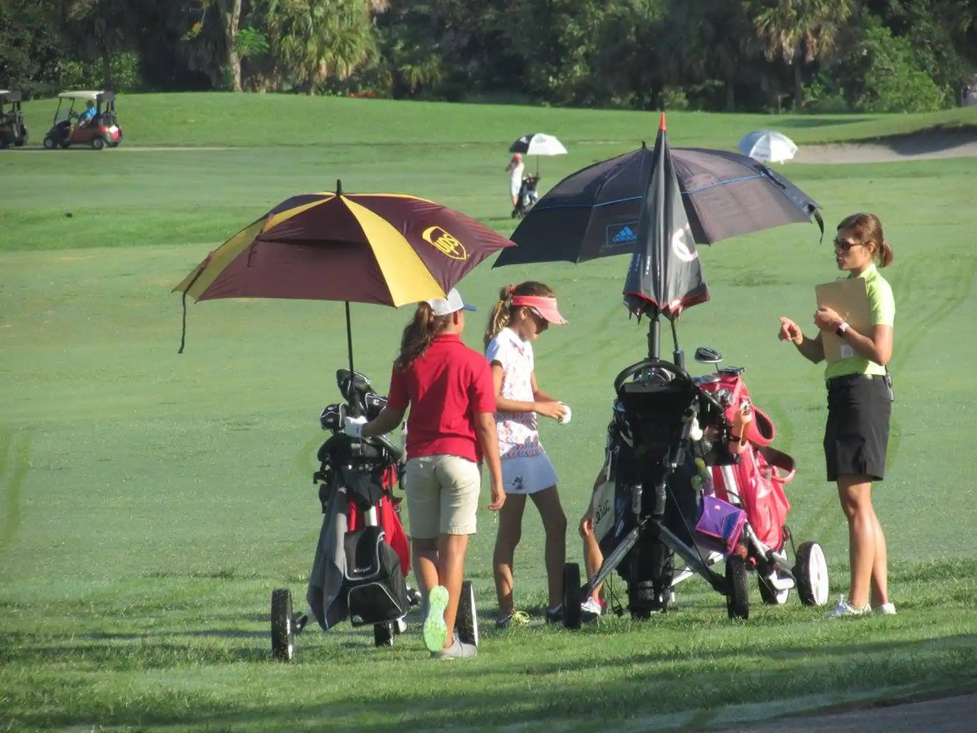 a group of people stand under umbrellas
