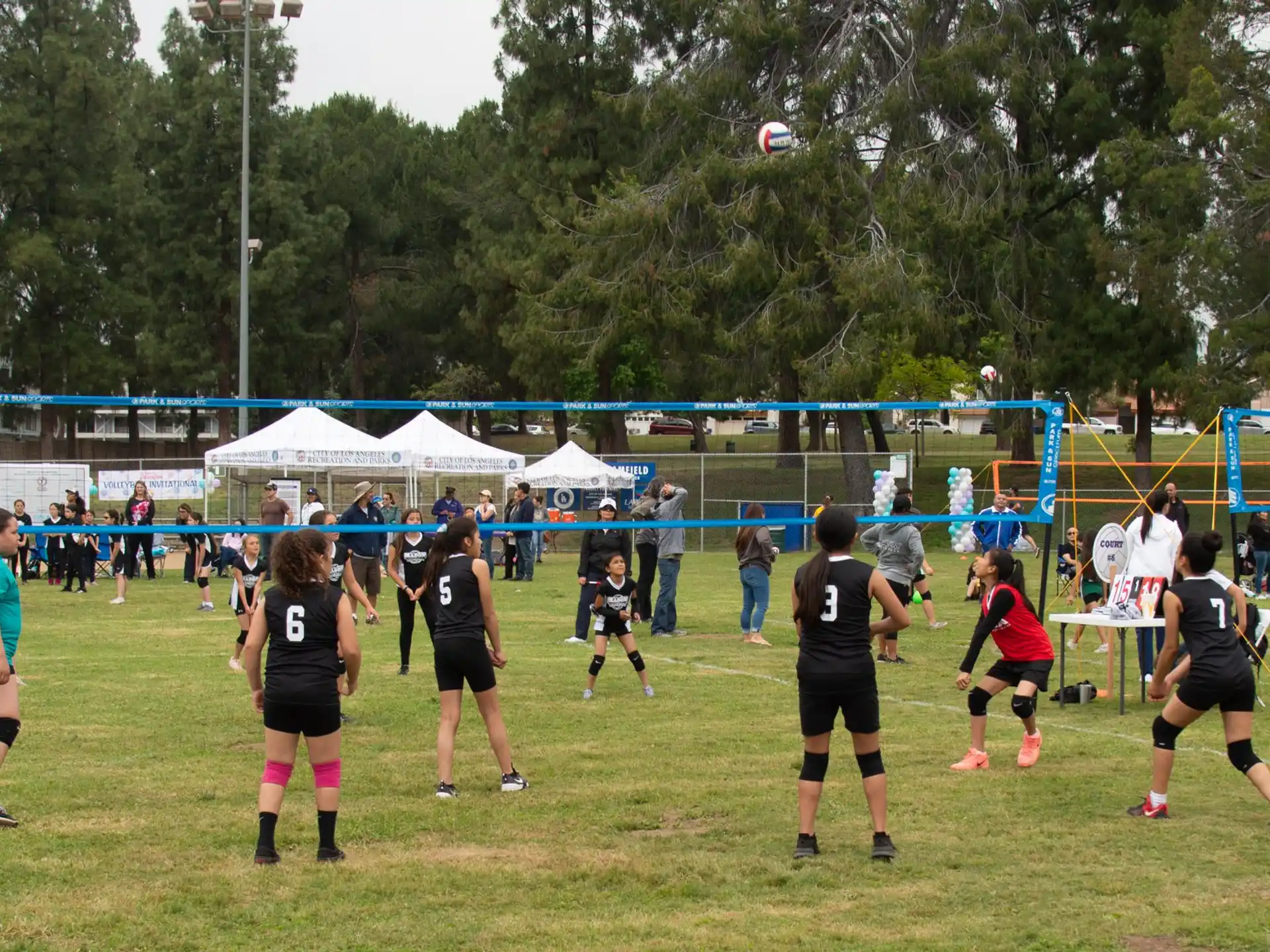 a group of women playing volleyball