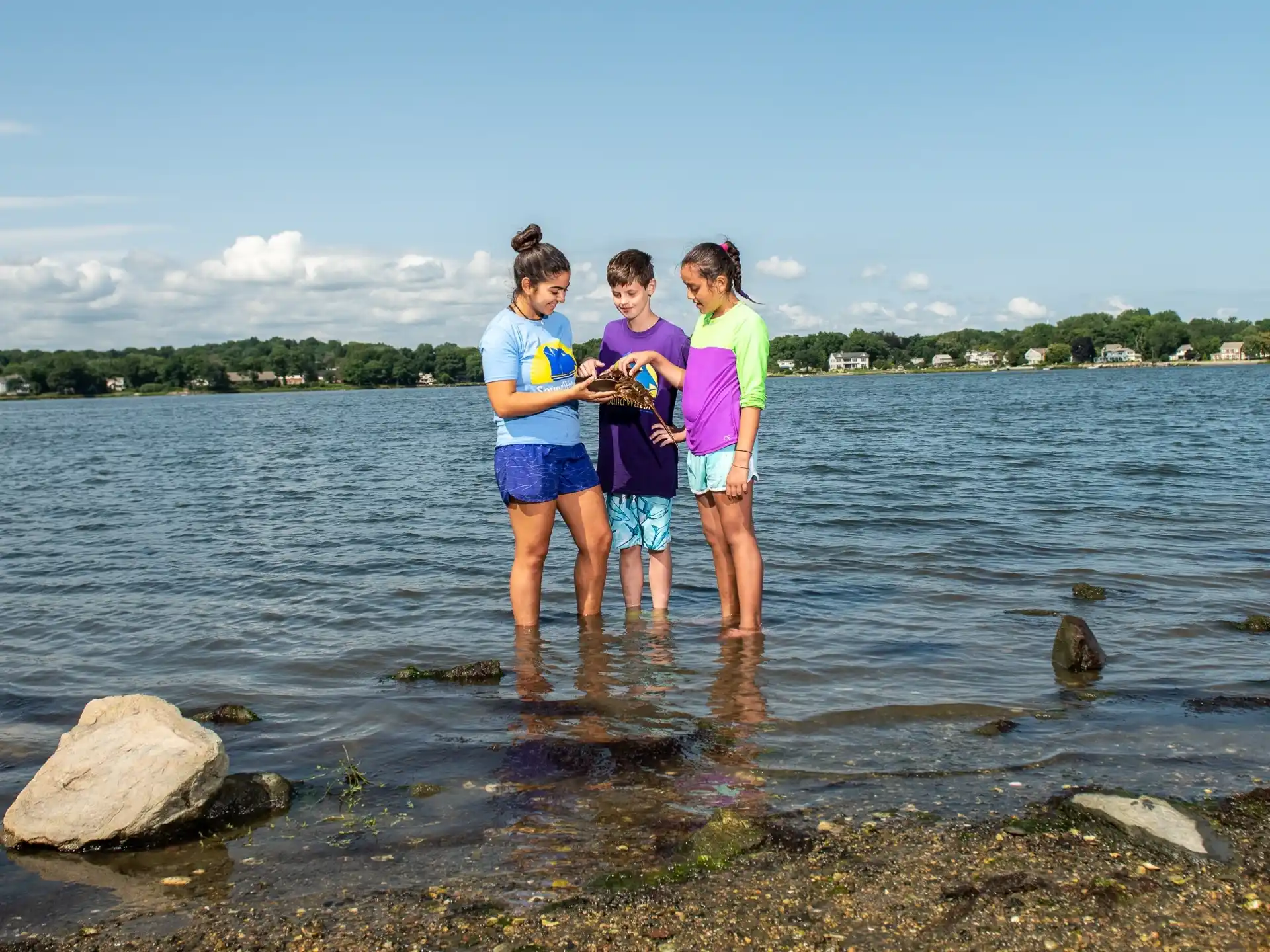 a group of people standing in a body of water