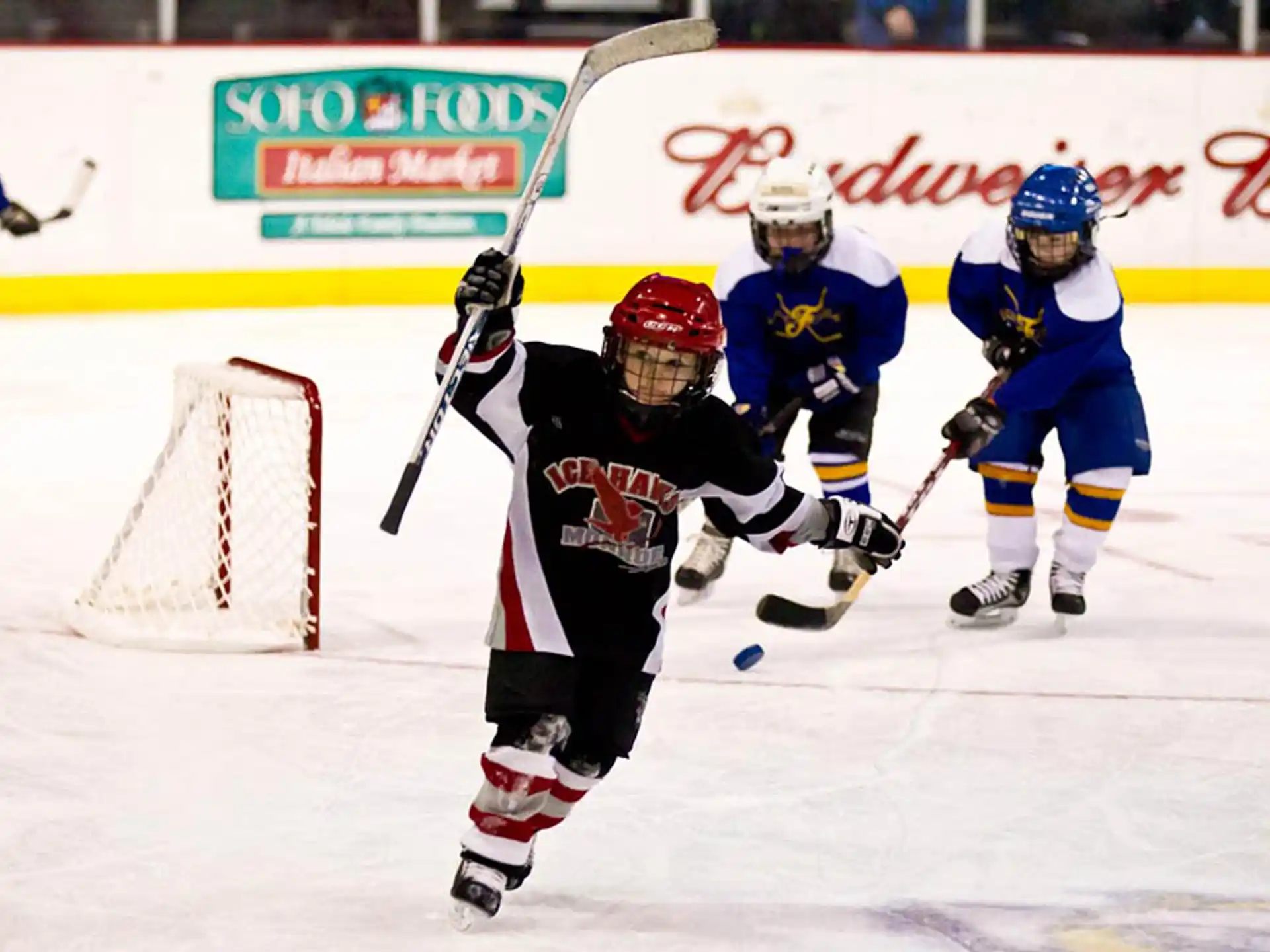 a group of people playing hockey