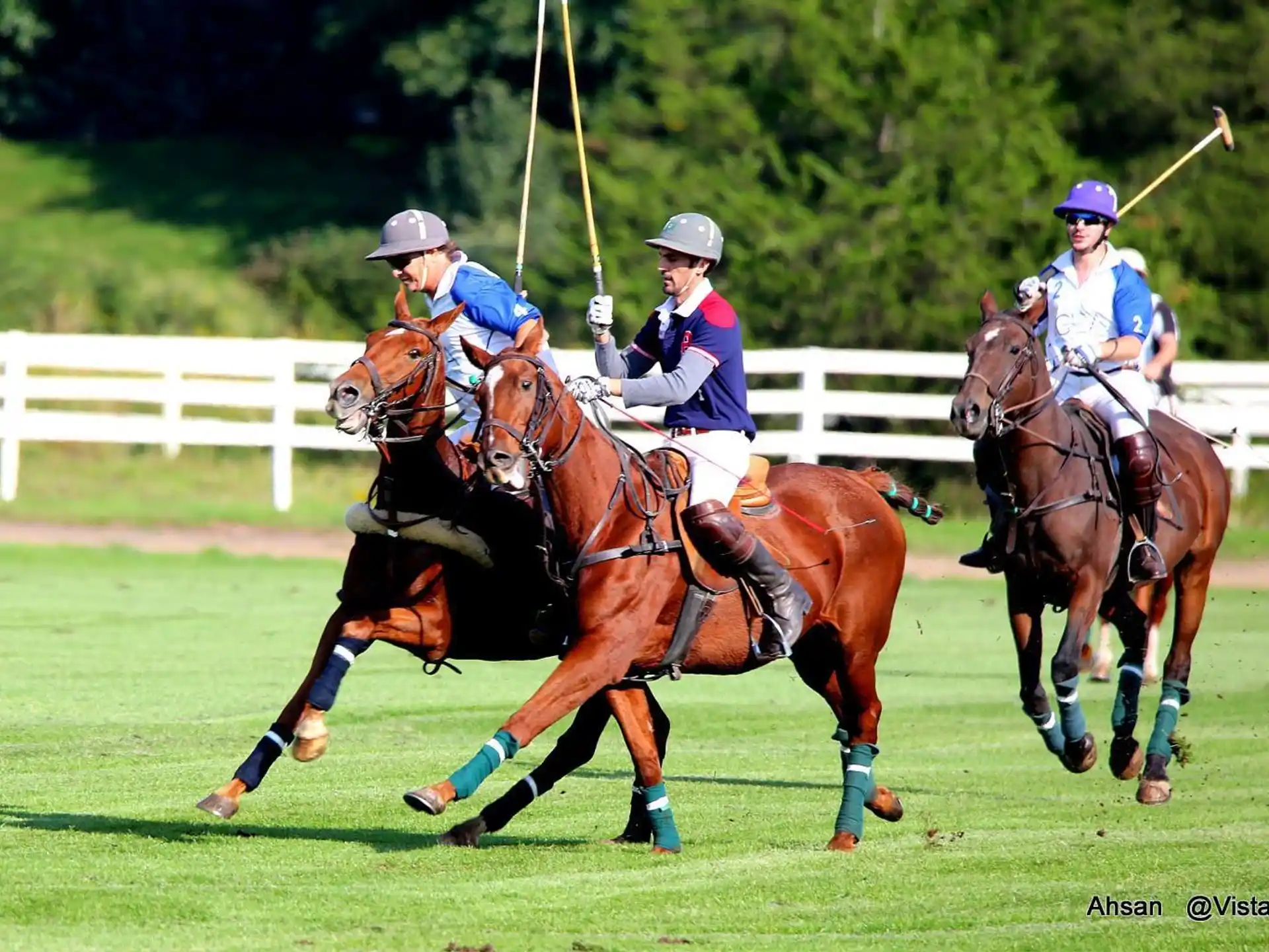 a group of people riding horses