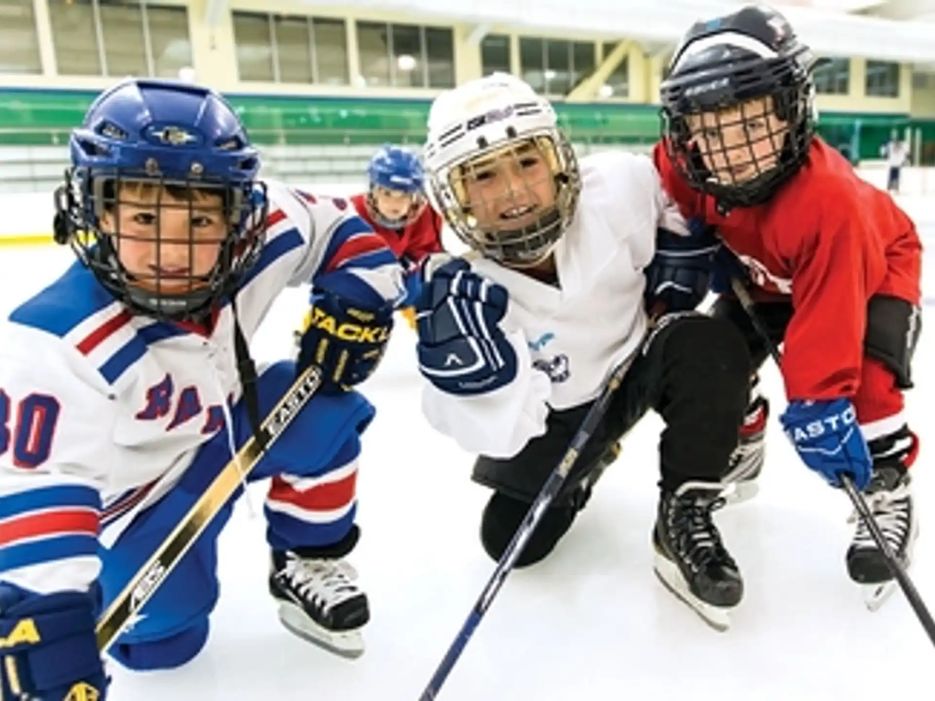 a group of hockey players