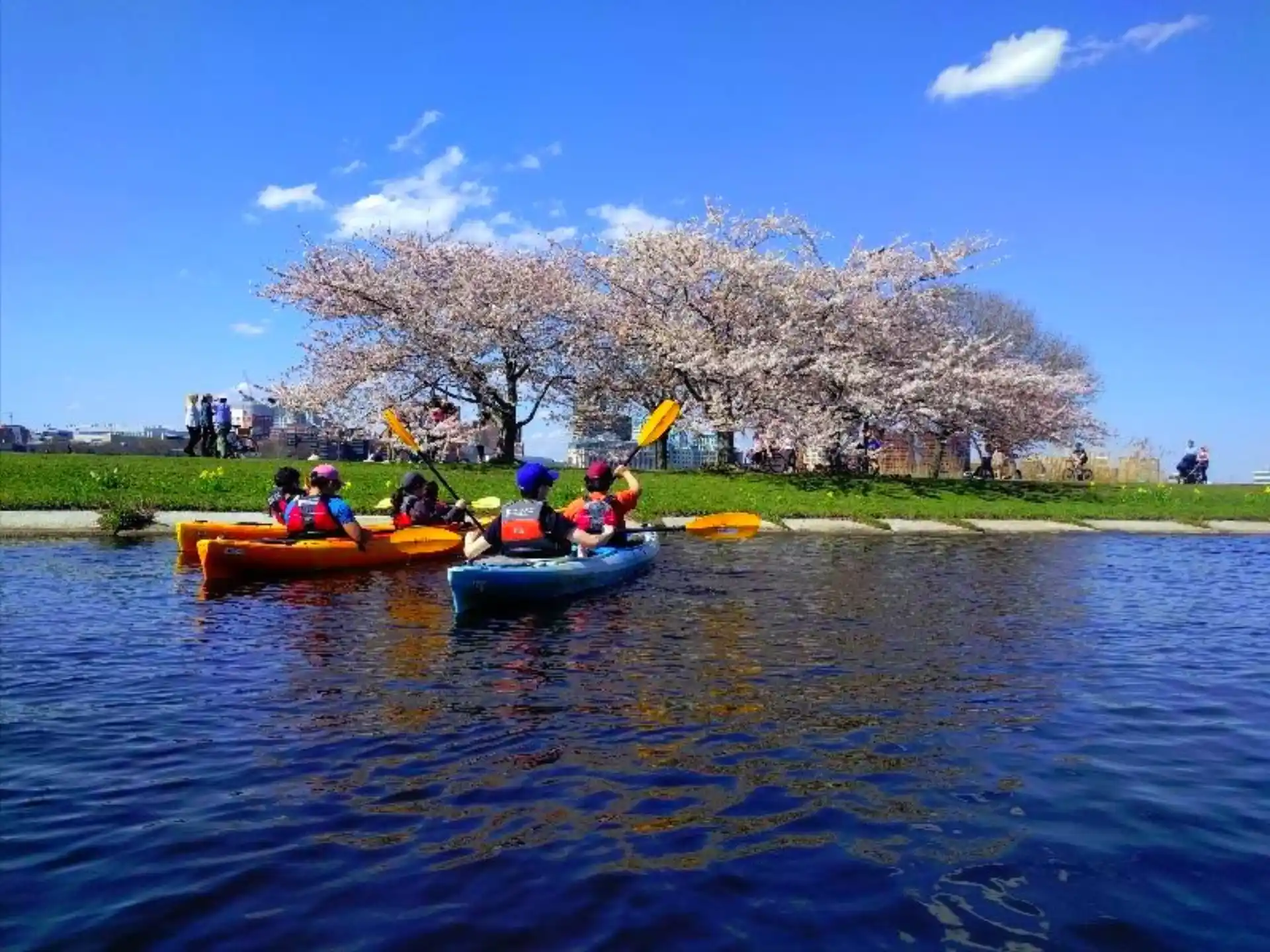 a group of people in canoes on a river