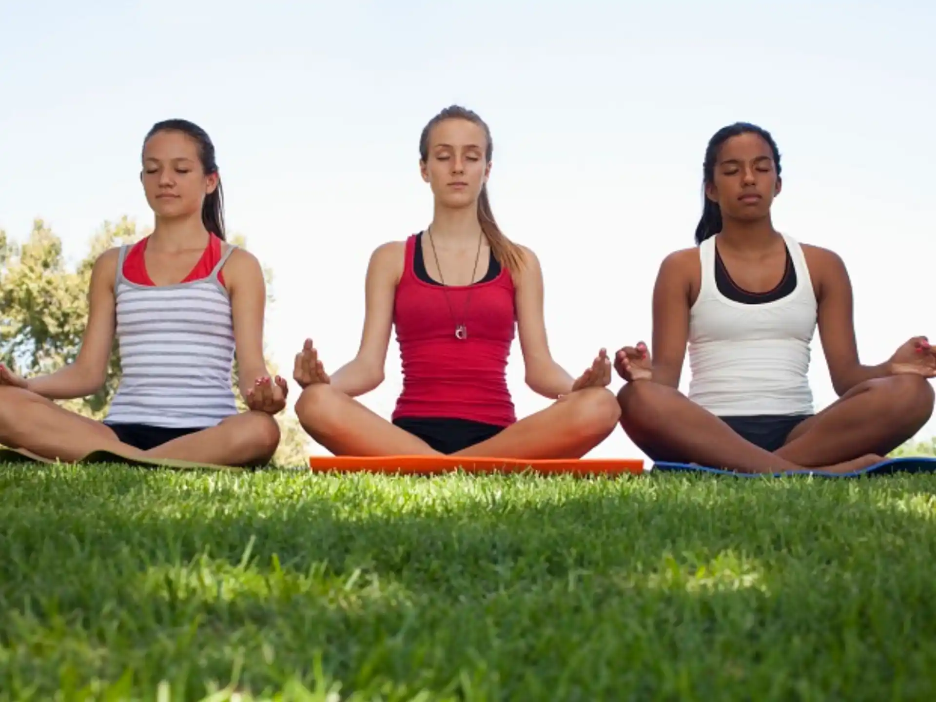 a group of women sitting on the grass