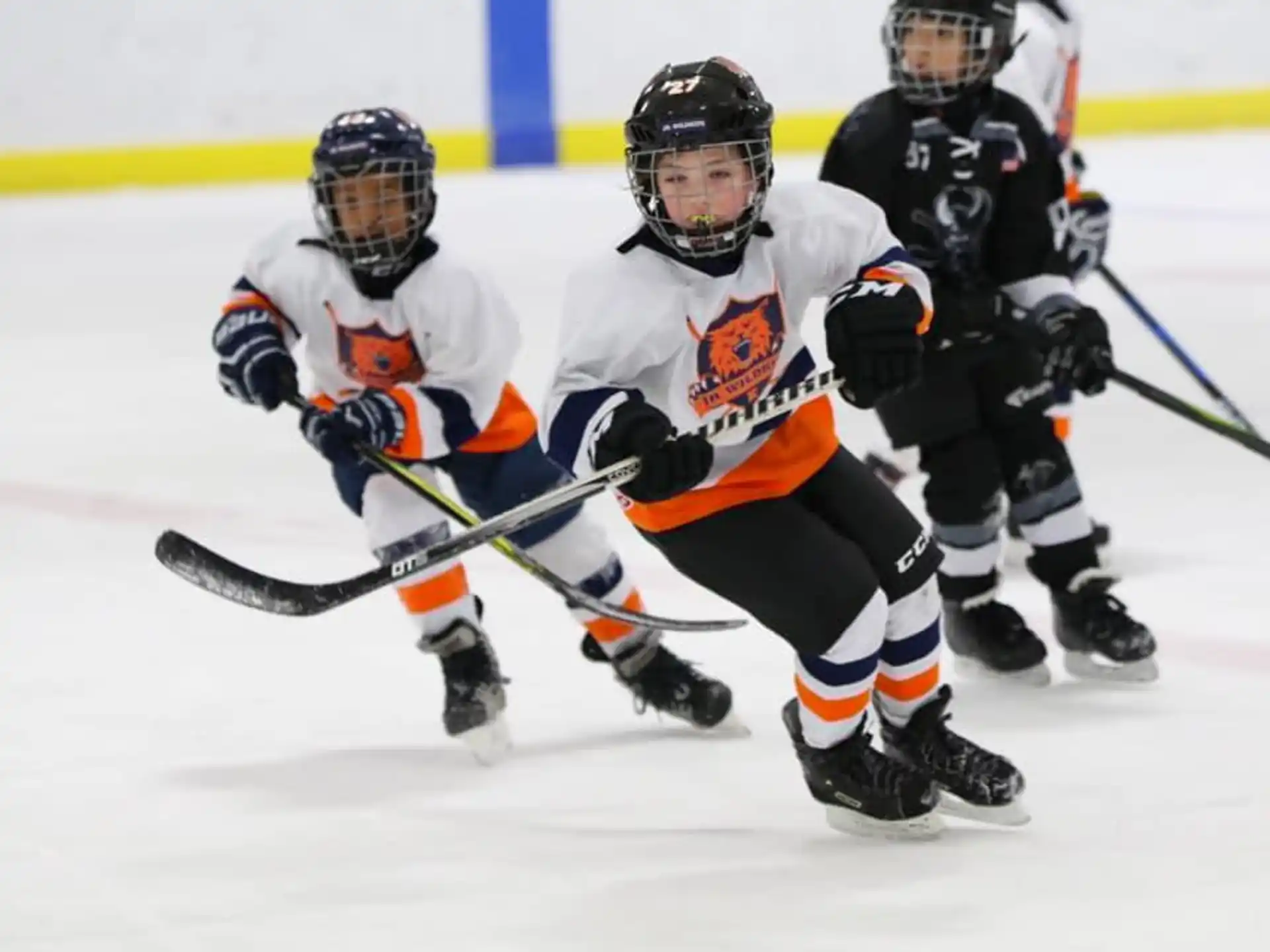 a group of hockey players on ice