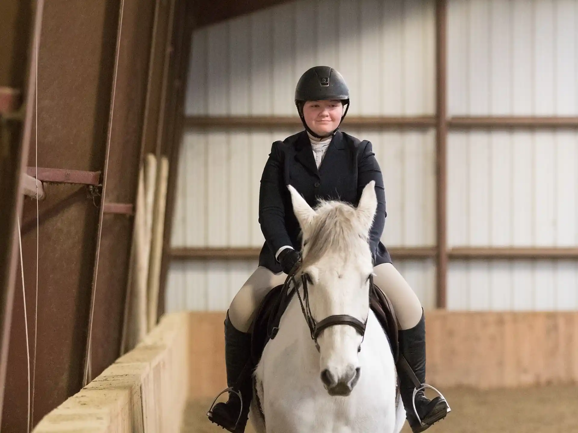 a person riding a horse
