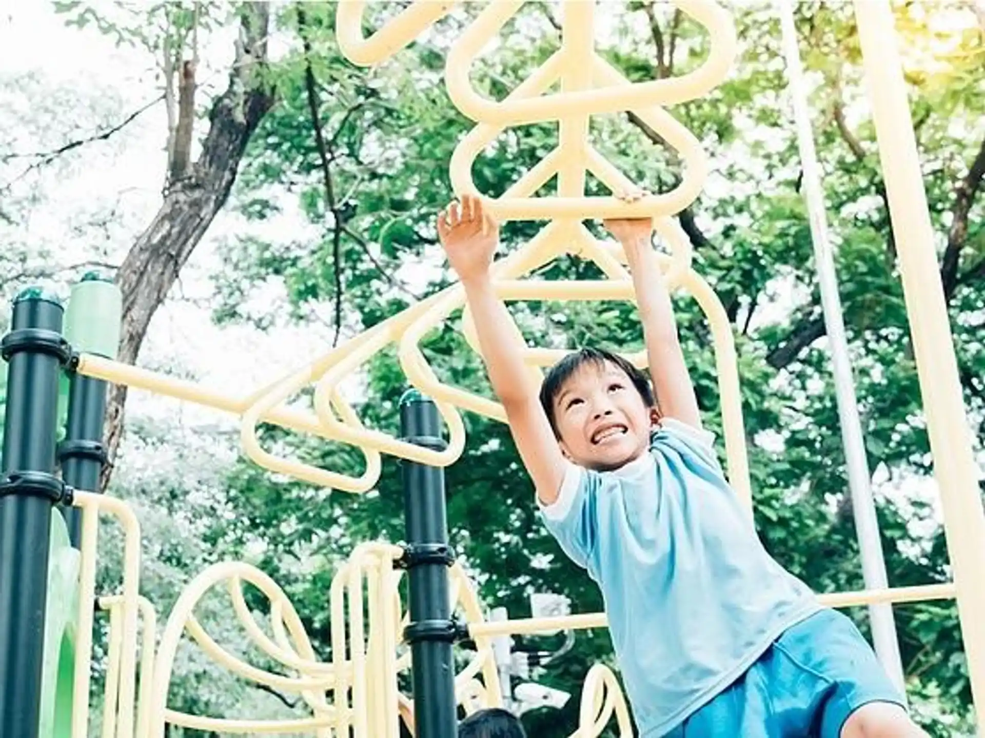 a boy on a swing