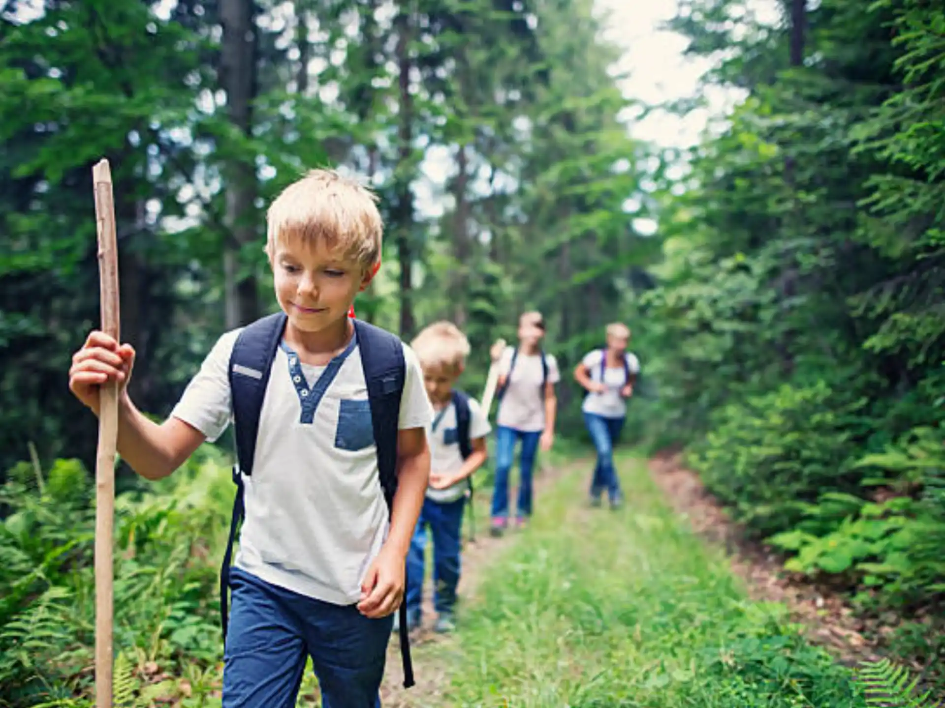 a group of people walking on a trail in the woods
