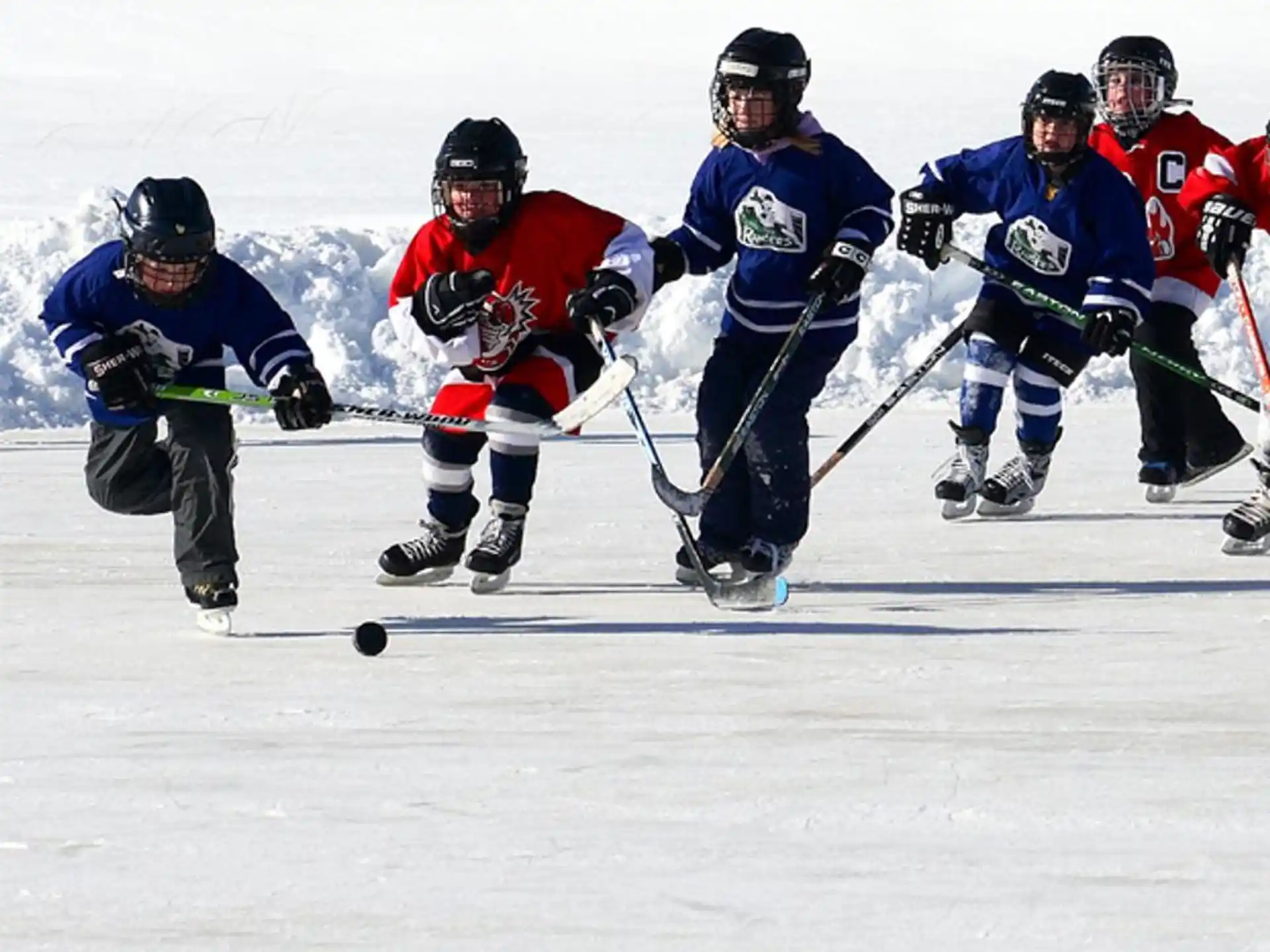 a group of people playing hockey