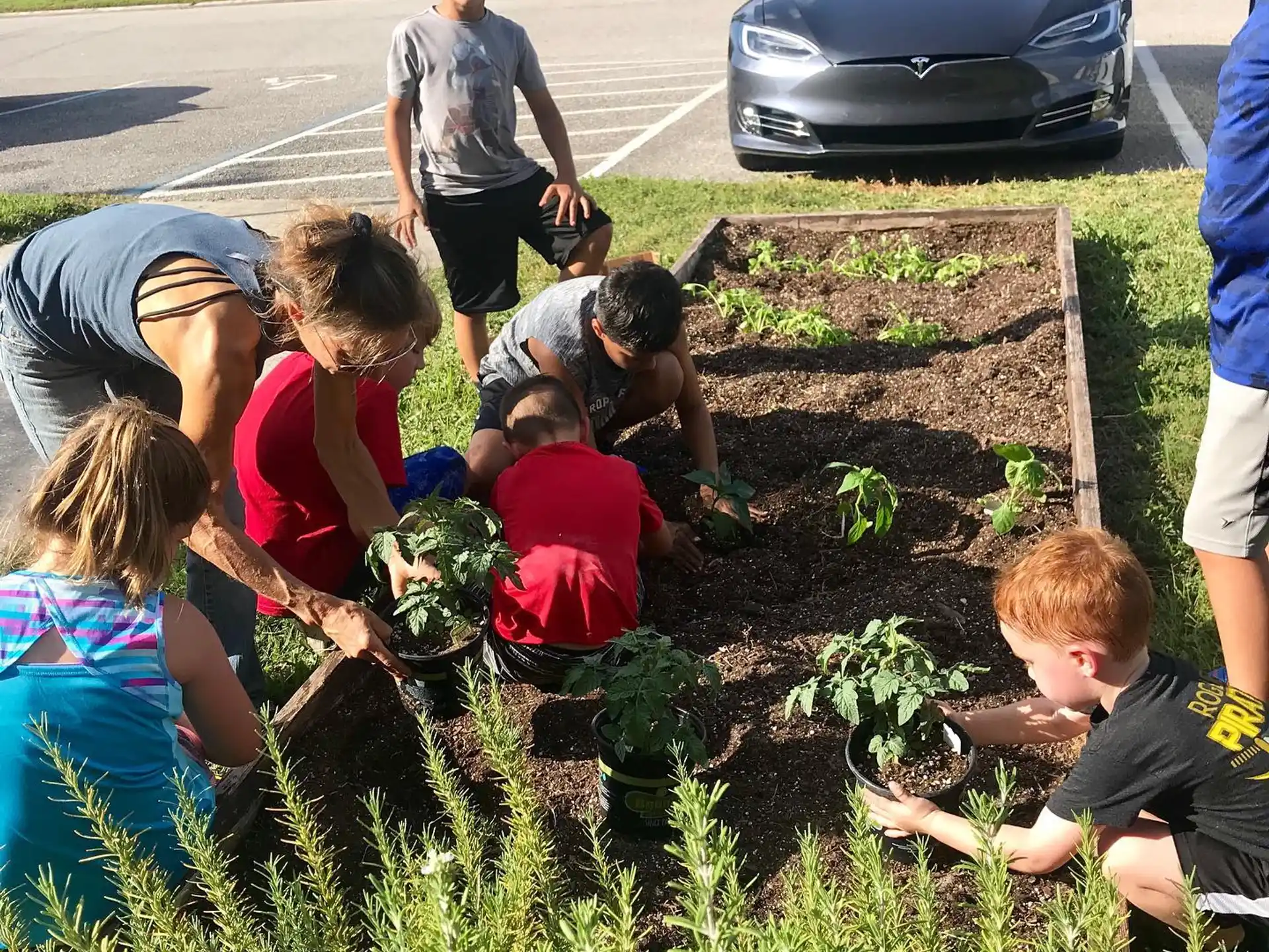 a group of people planting plants