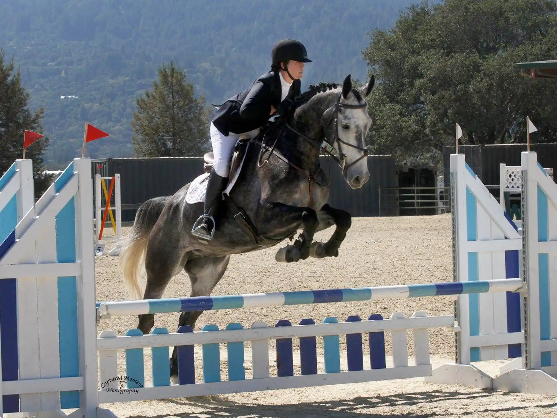 a person riding a horse