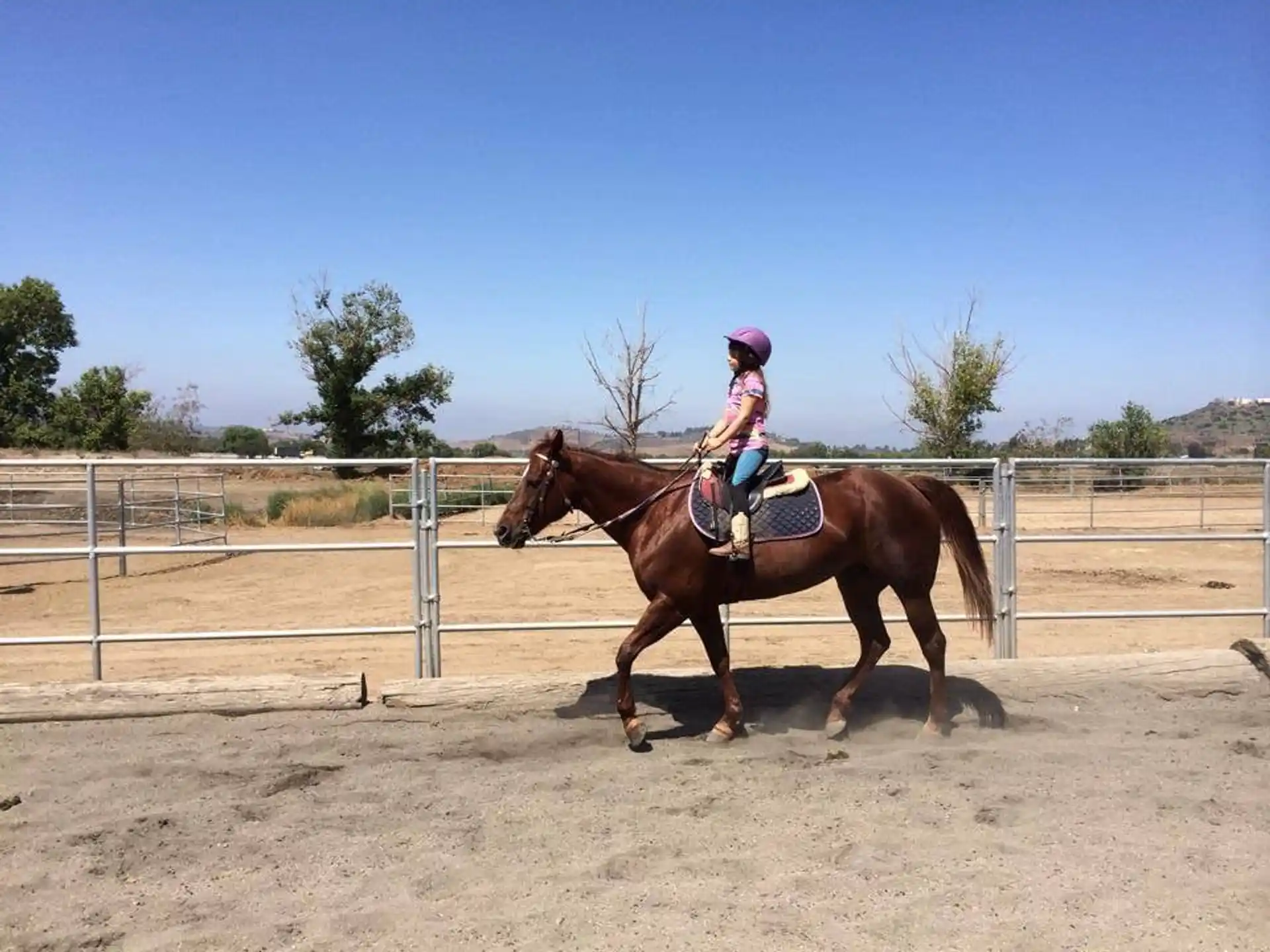 a girl riding a horse