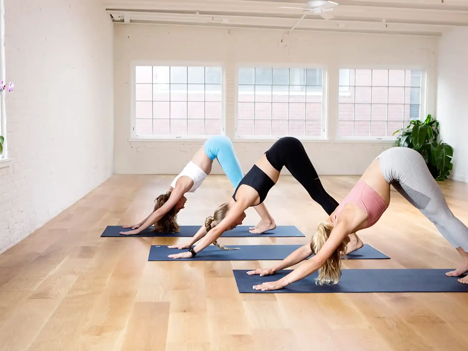 a group of women doing yoga