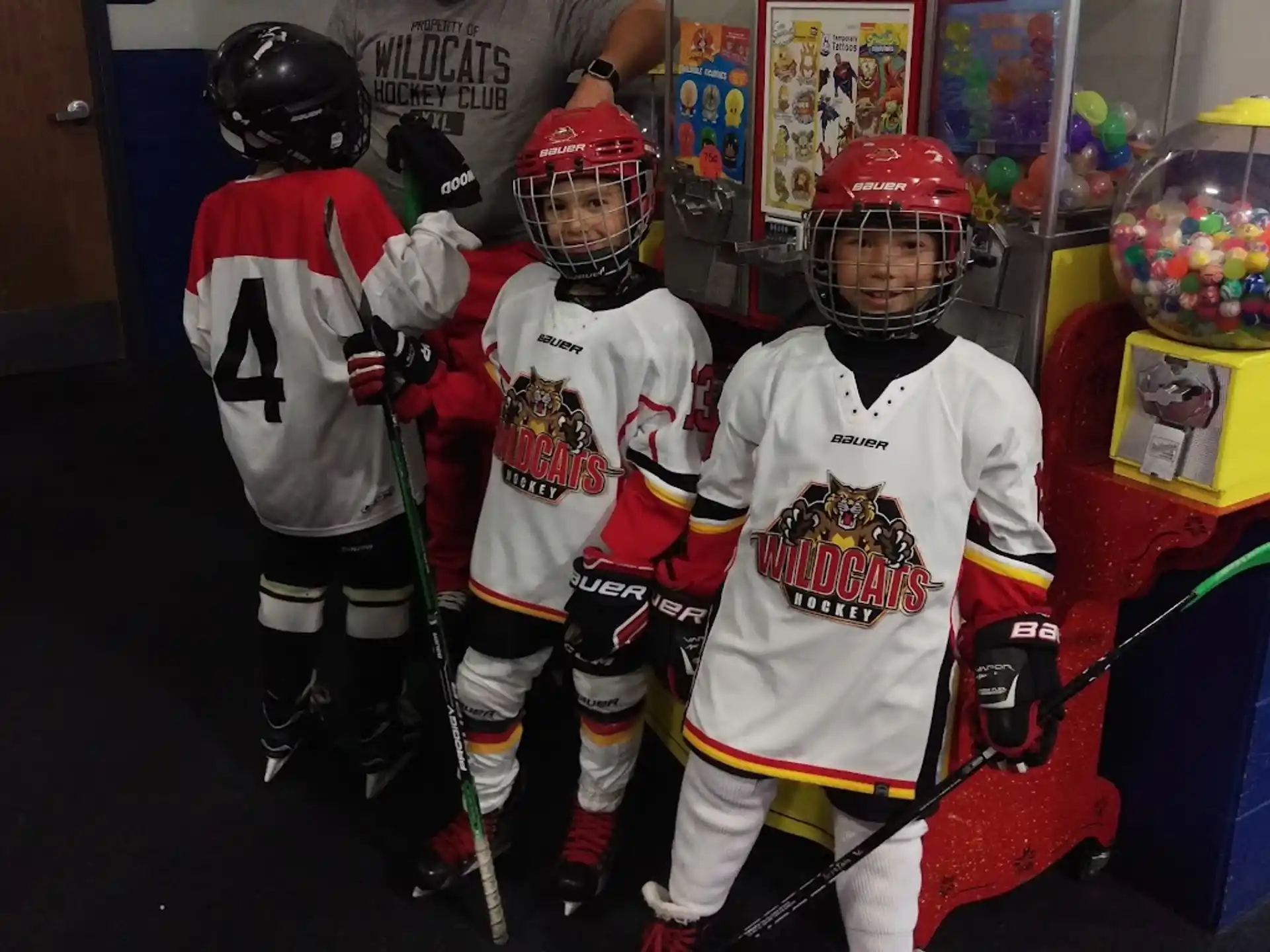 a group of hockey players