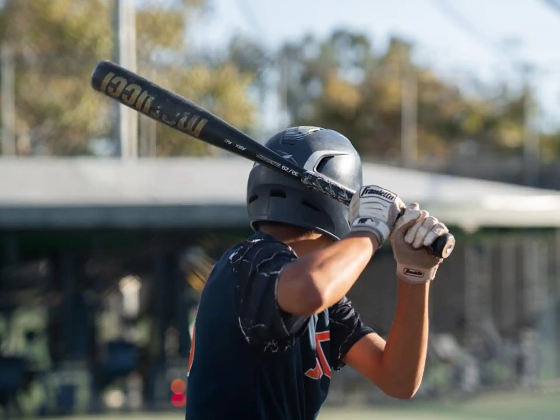 a person holding a baseball bat