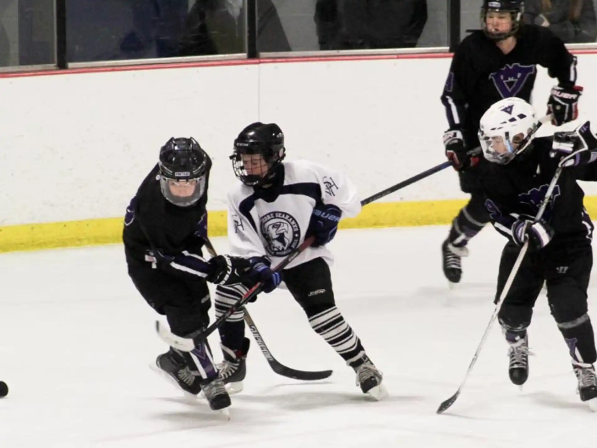 a group of people playing hockey