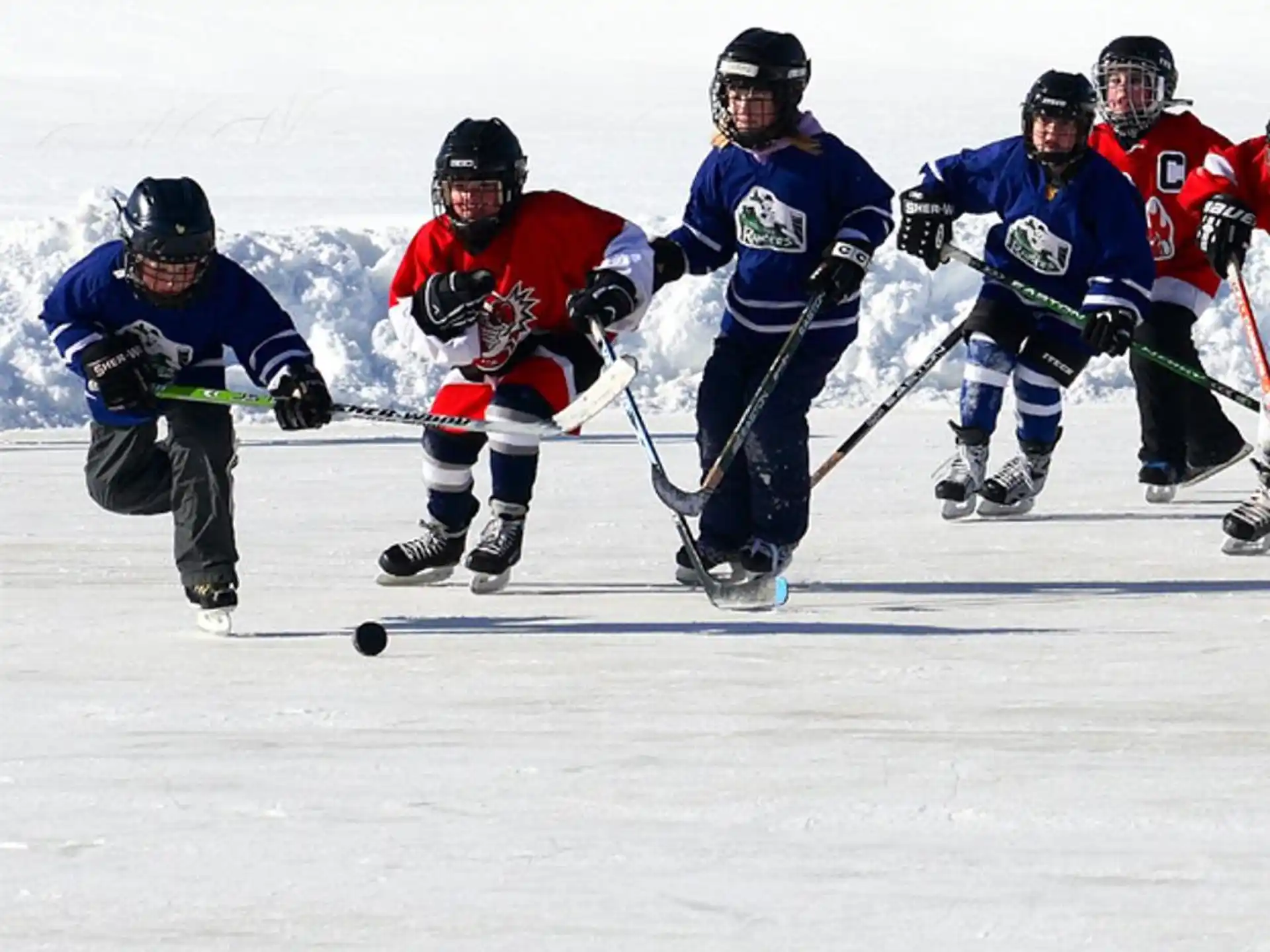 a group of people playing hockey