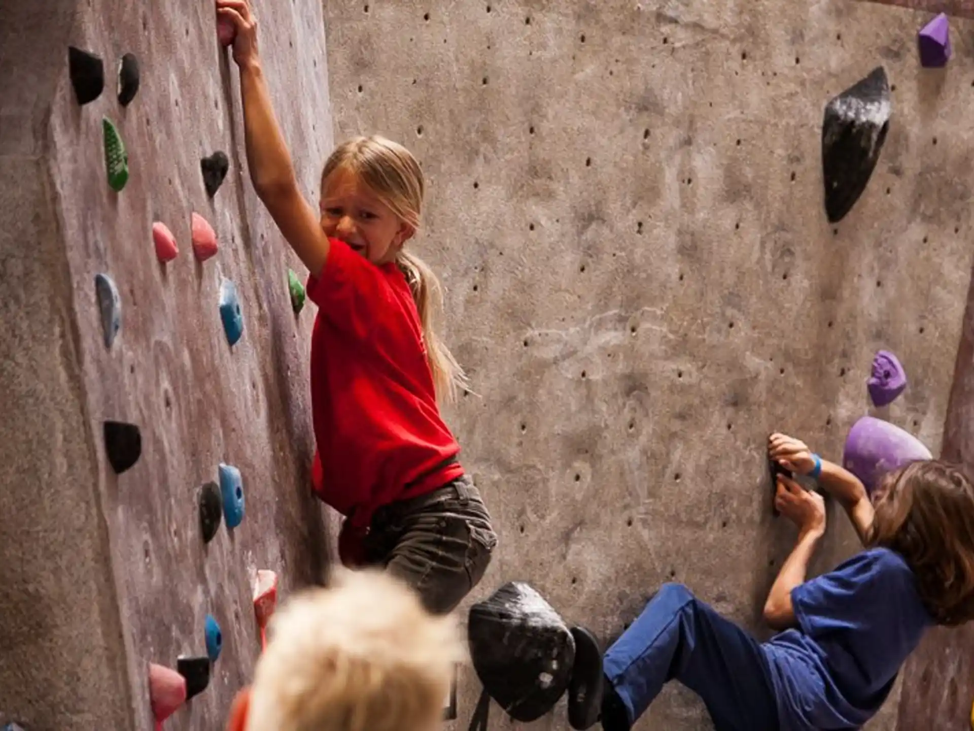 a group of kids climbing a rock wall