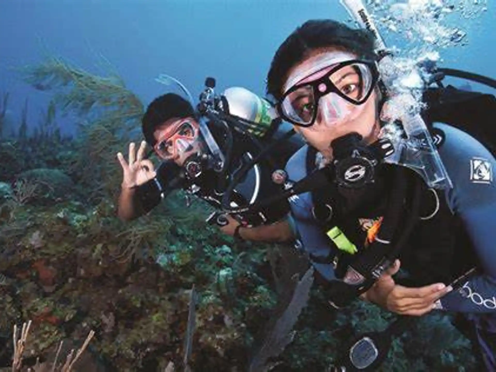 a group of people wearing scuba gear