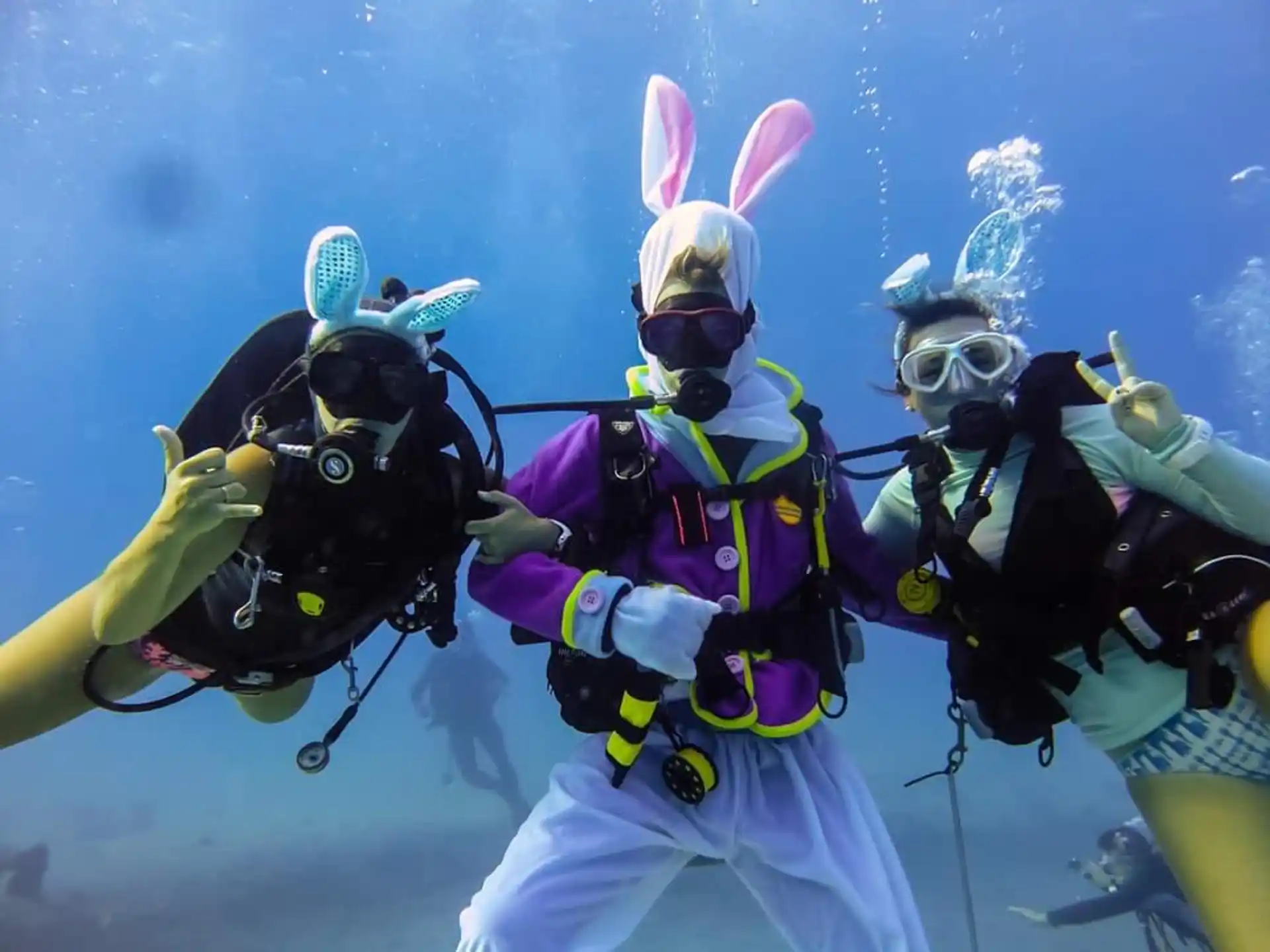a group of scuba divers