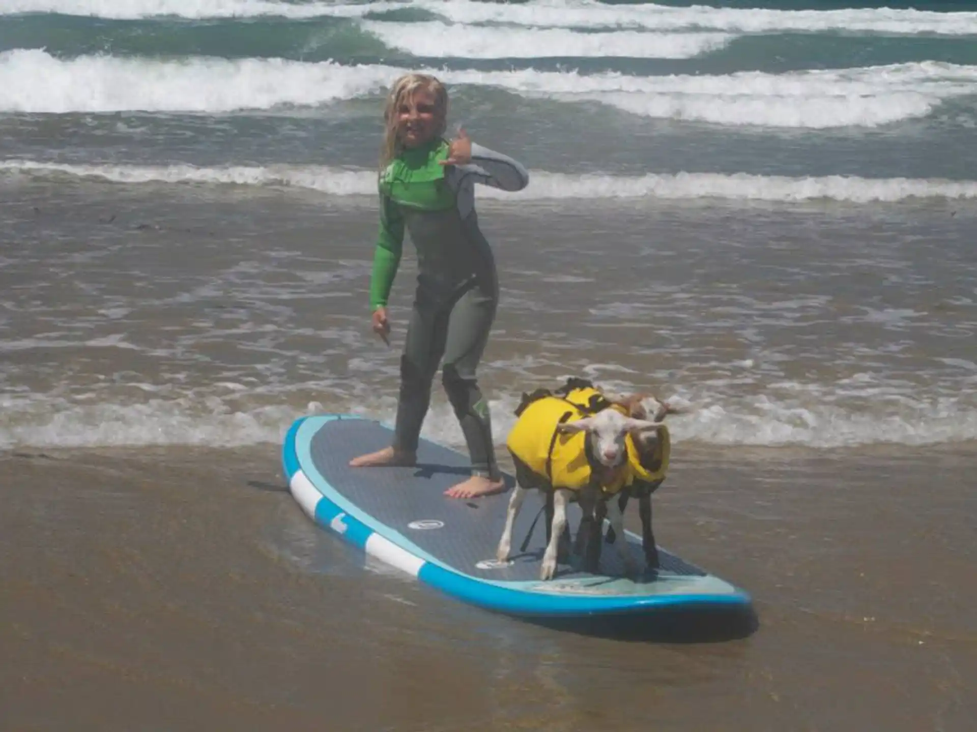 a person with a dog on a surfboard