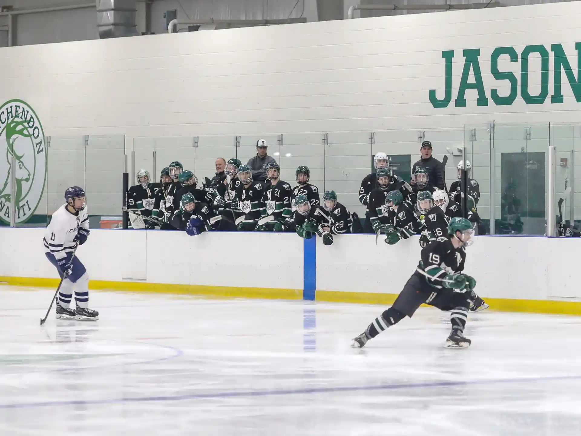 a group of people playing hockey