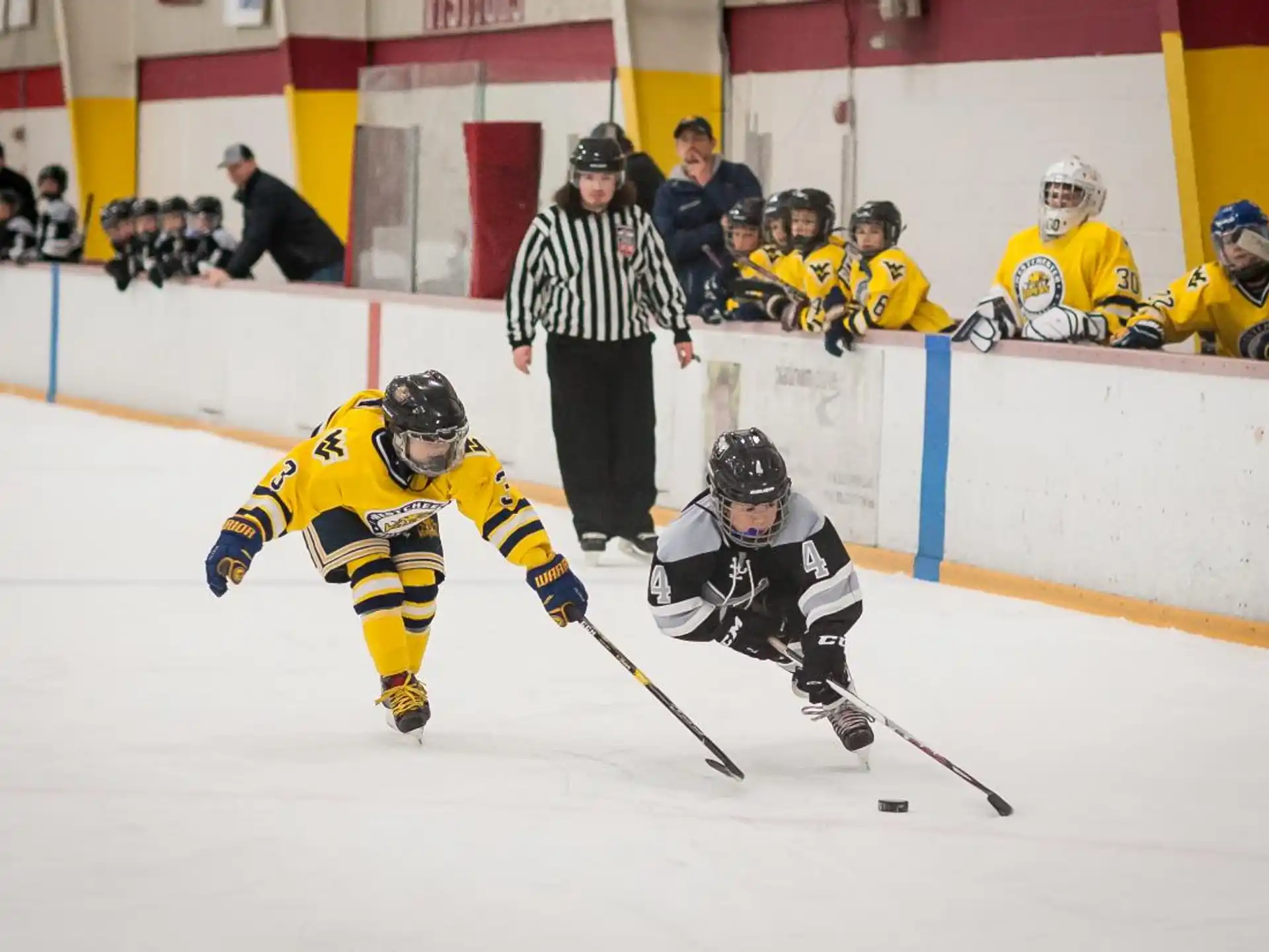 a hockey game with a hockey player