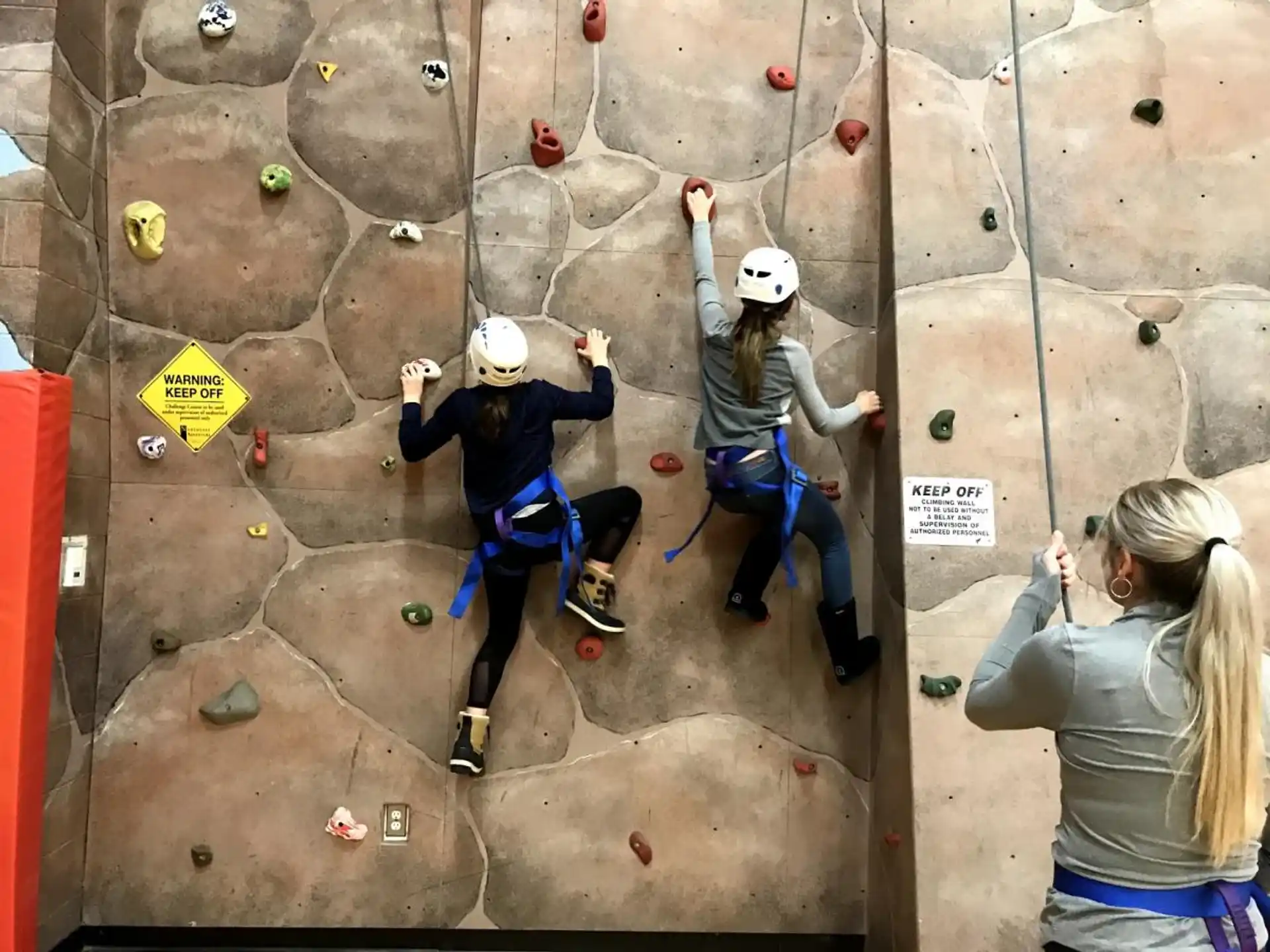 a group of people climbing a rock wall