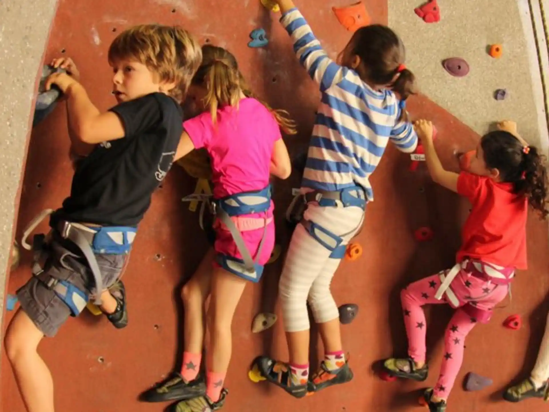 a group of kids climbing a rock wall