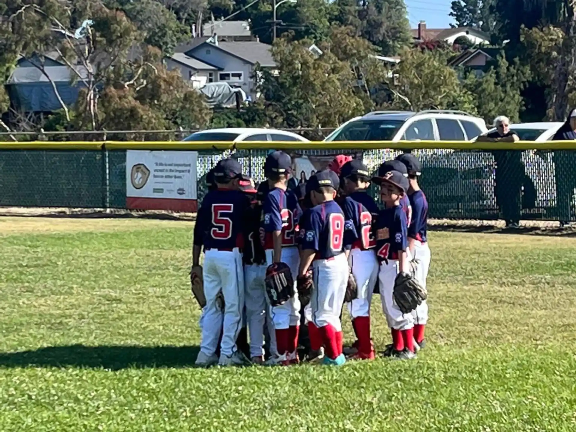 a group of kids in baseball uniforms